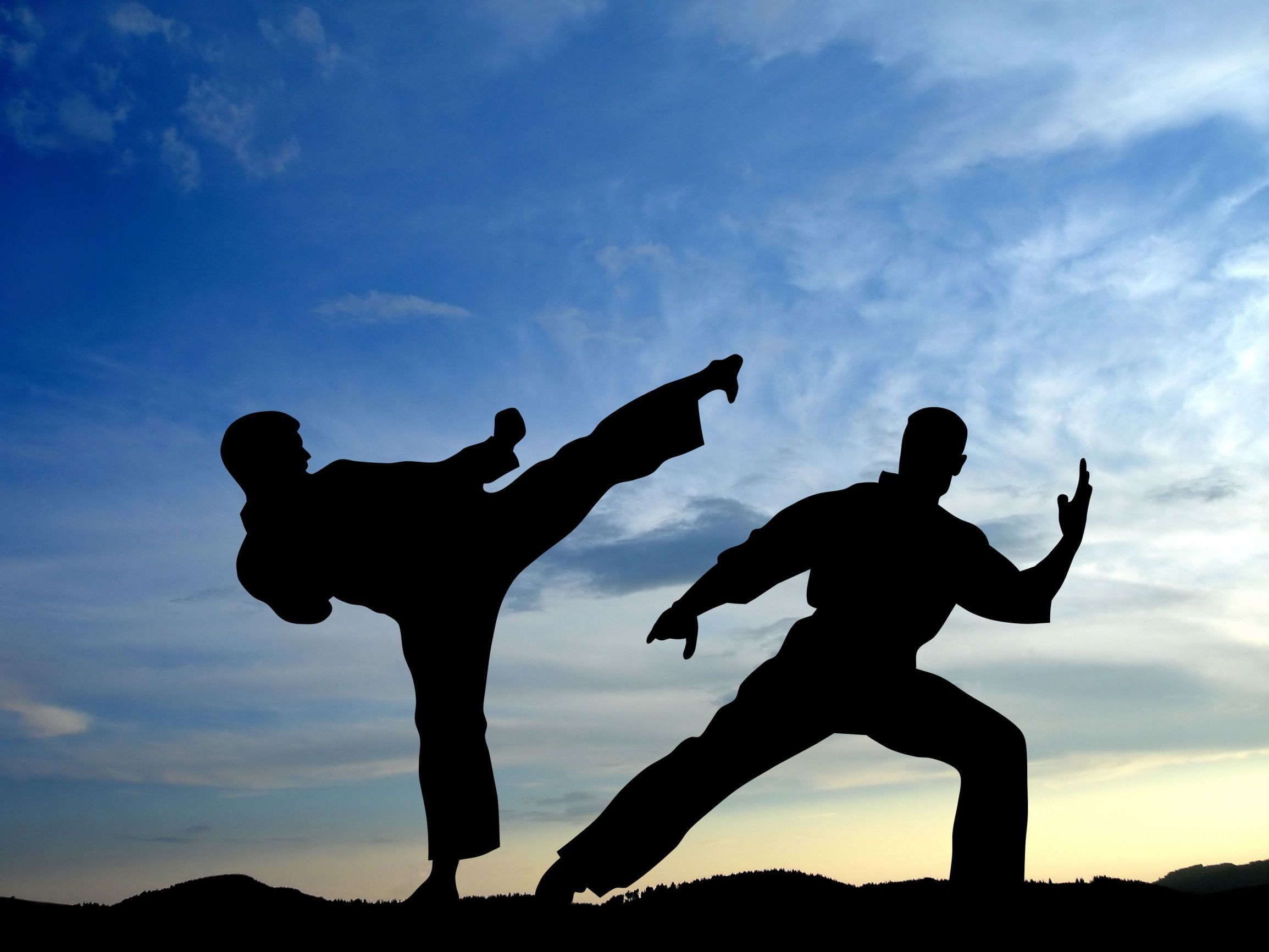 Silhouette karate al tramonto, 2309x1732 2K, Laptop