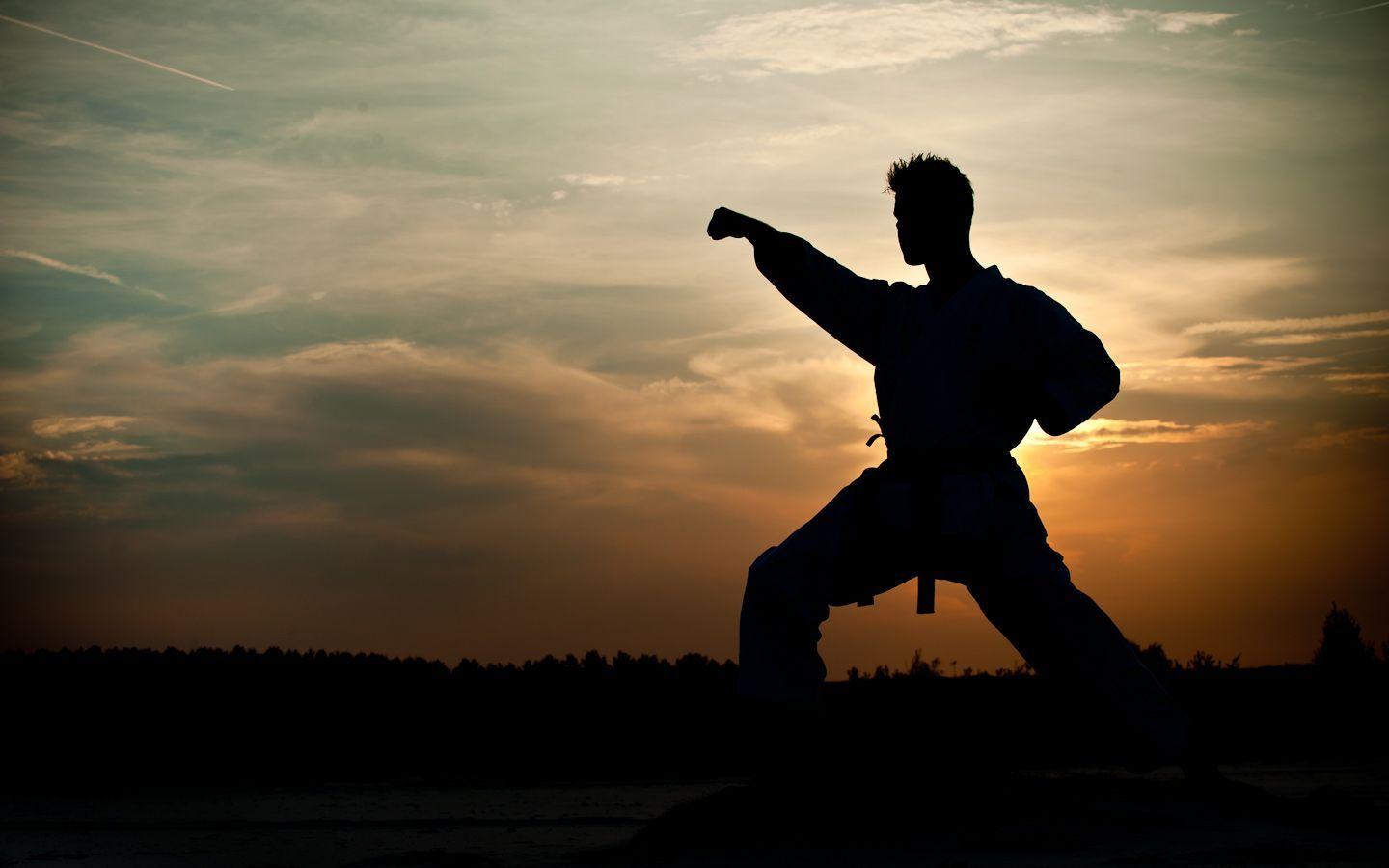 Silhouette karate al tramonto, 1440x900 HD, MacBook Air