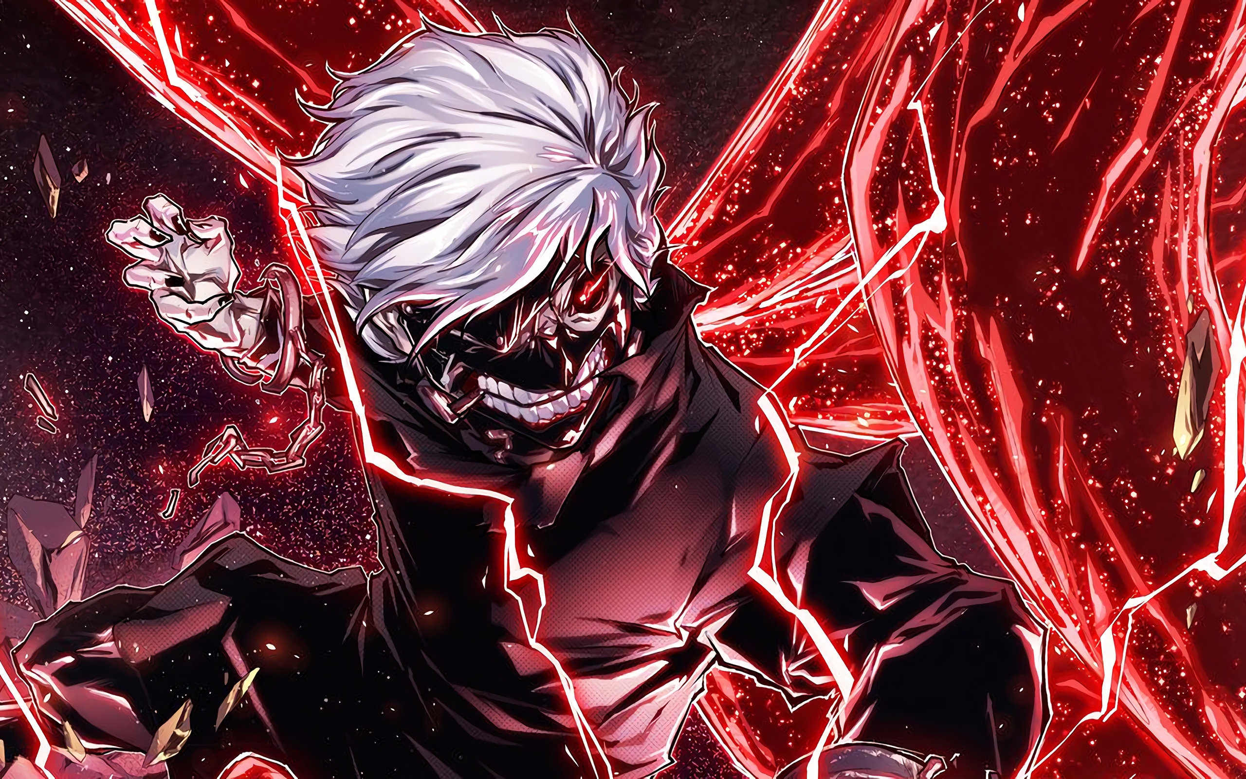 Ken Kaneki Tokyo Ghoul, 2560x1600 2K, PC