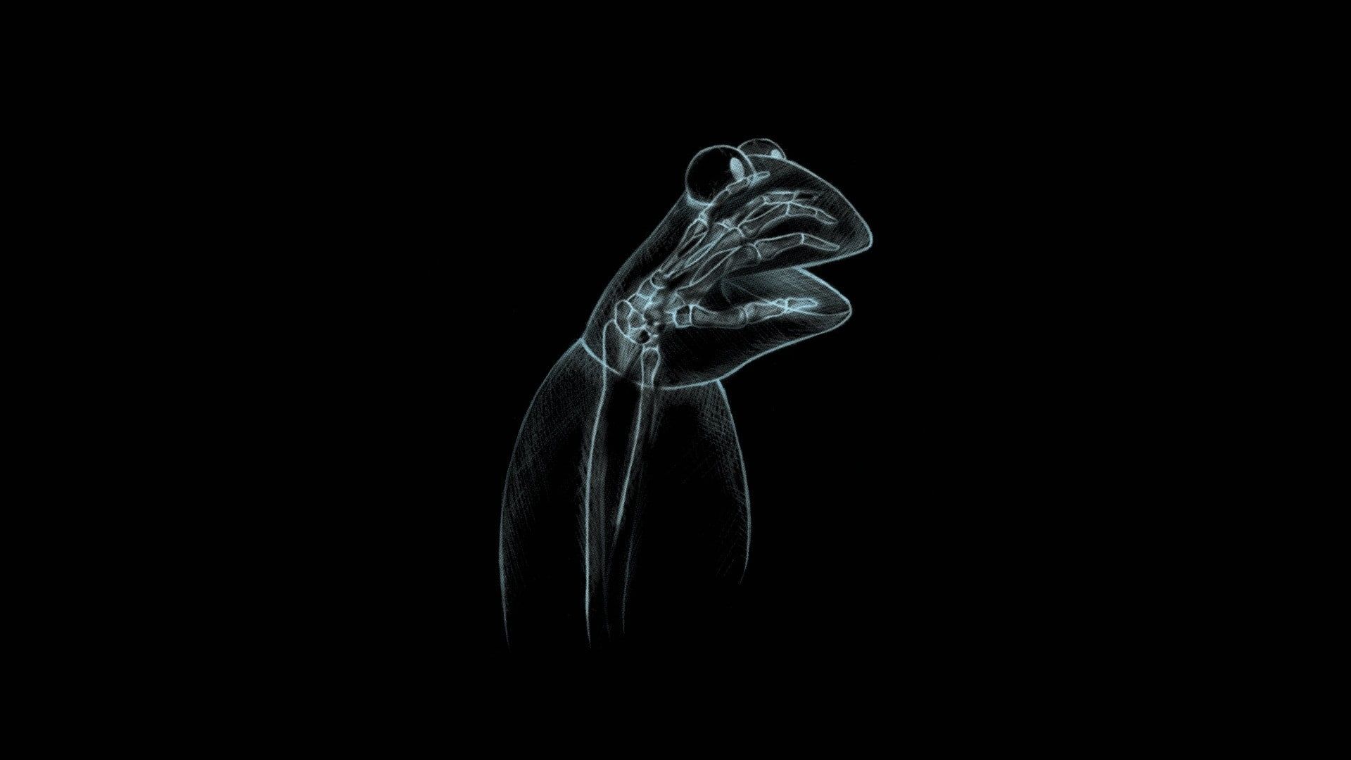 Kermit la Rana con maglietta Supreme, streetwear, 1920x1080 1080p, Laptop