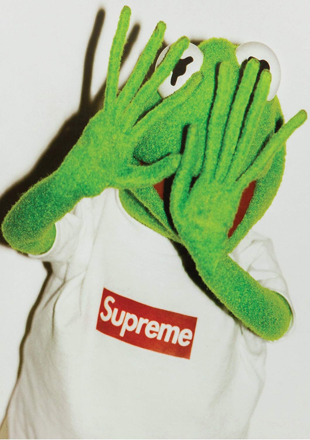 Kermit la Rana con Supreme, 1060x1500 Full HD Verticale, Google Pixel