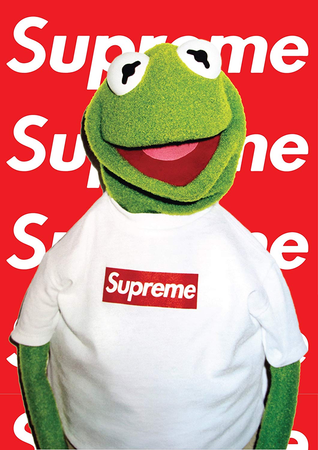 Bart Simpson e Kermit Supreme, New York, 840x1320 Full HD Verticale, iPhone