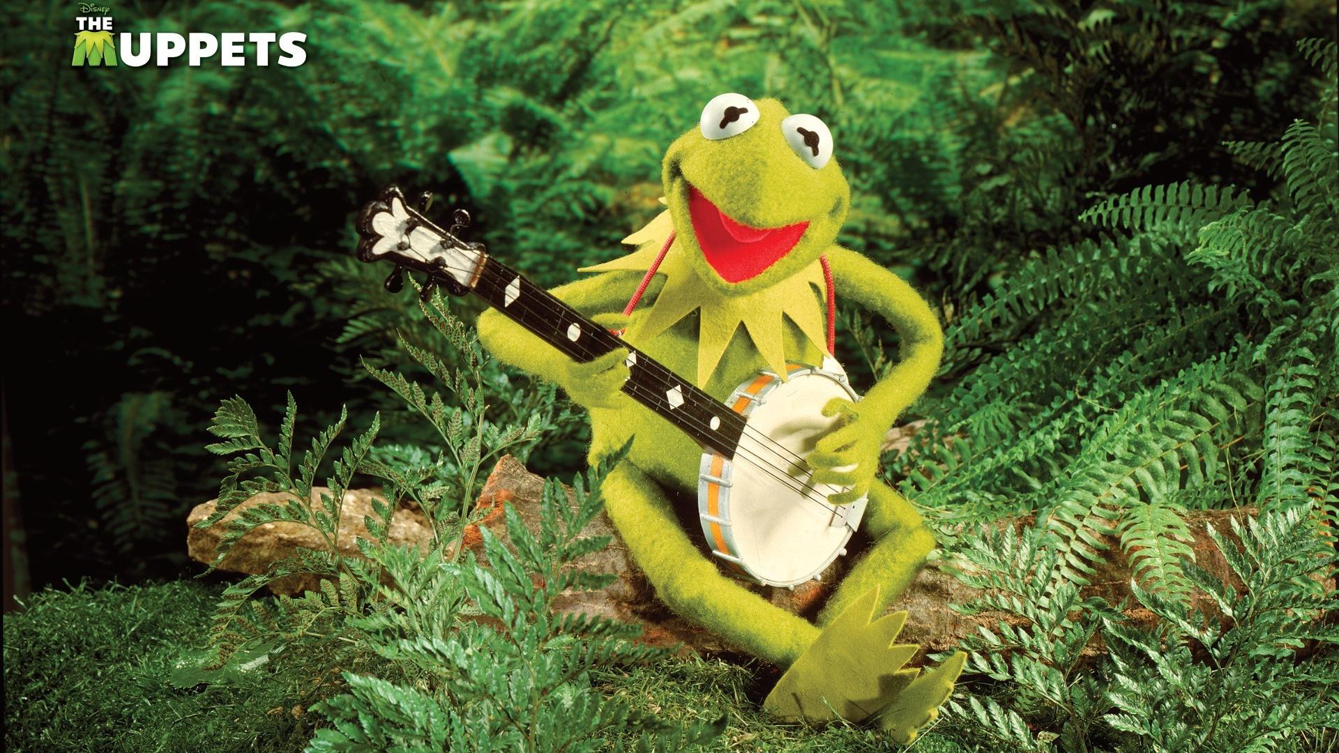 Kermit la Rana, 2400x3000 Full HD Verticale, Smartphone