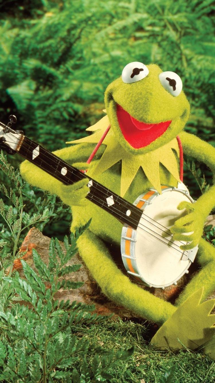 Kermit la Rana pistola, 1339x819 HD, Desktop