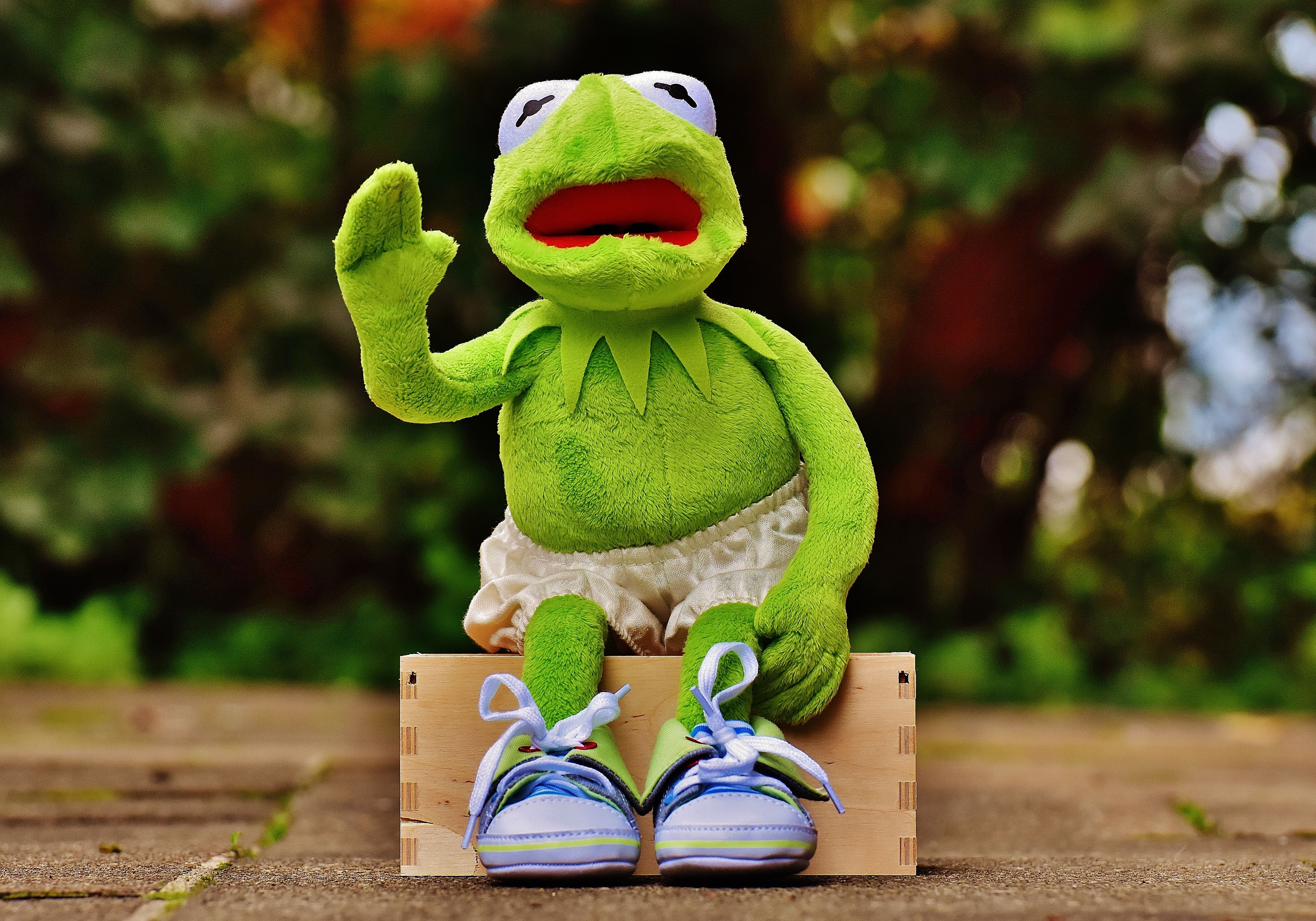 Kermit la Rana pupazzo, 728x1092 Verticale, Telefono