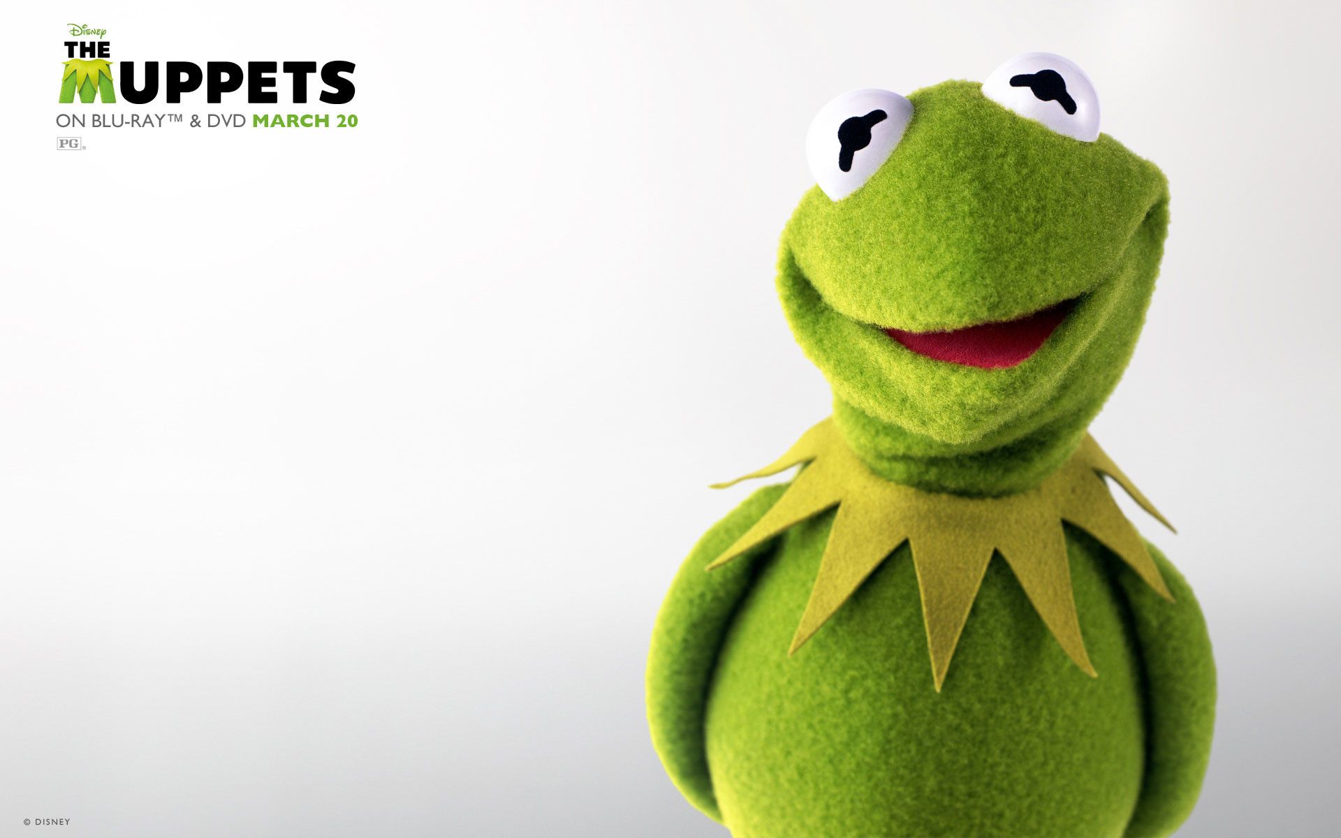 Kermit la Rana Muppets, 1920x1200 Full HD+, PC Desktop