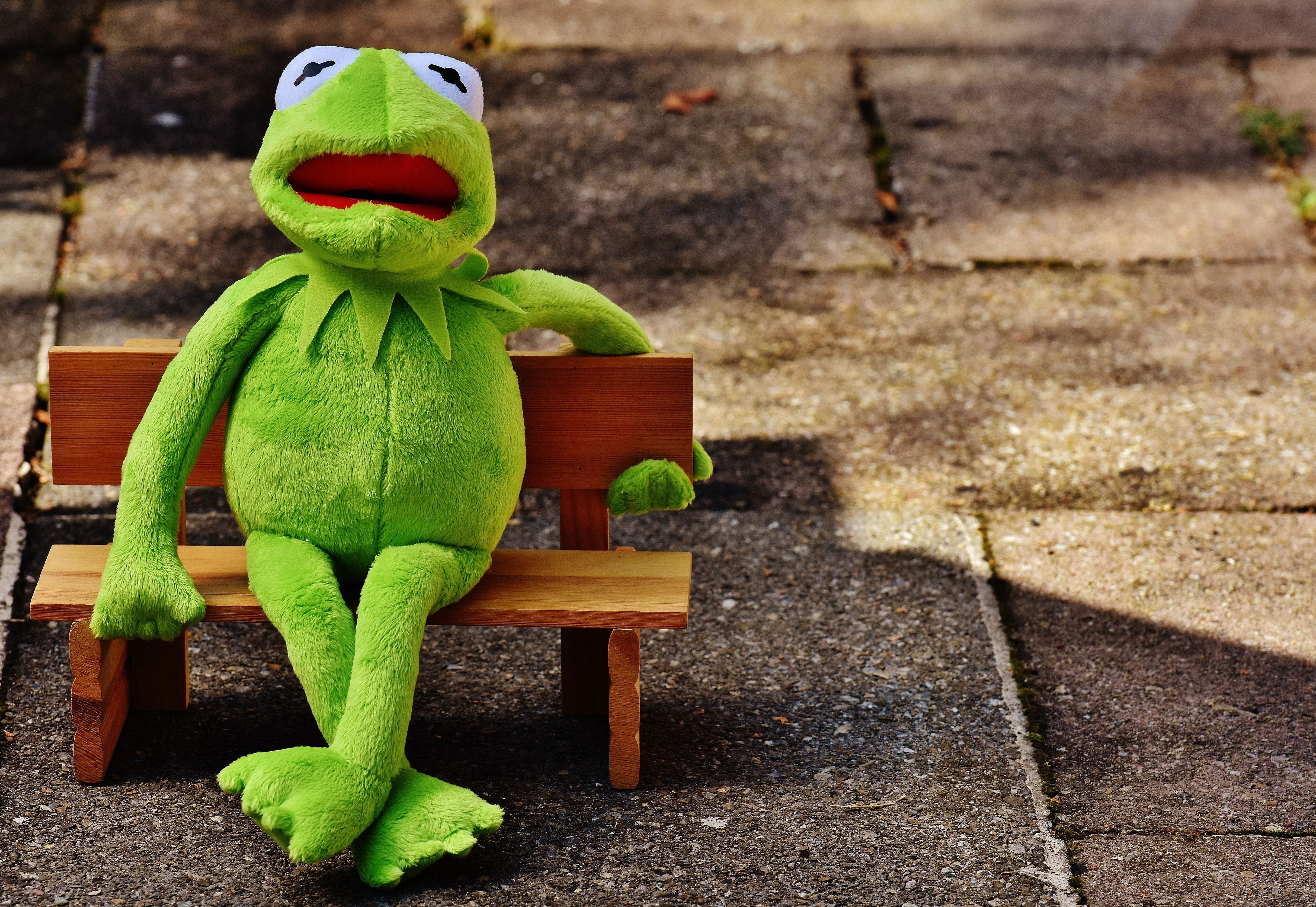 Kermit la Rana con banjo, 1920x1080 Full HD 1080p, Laptop