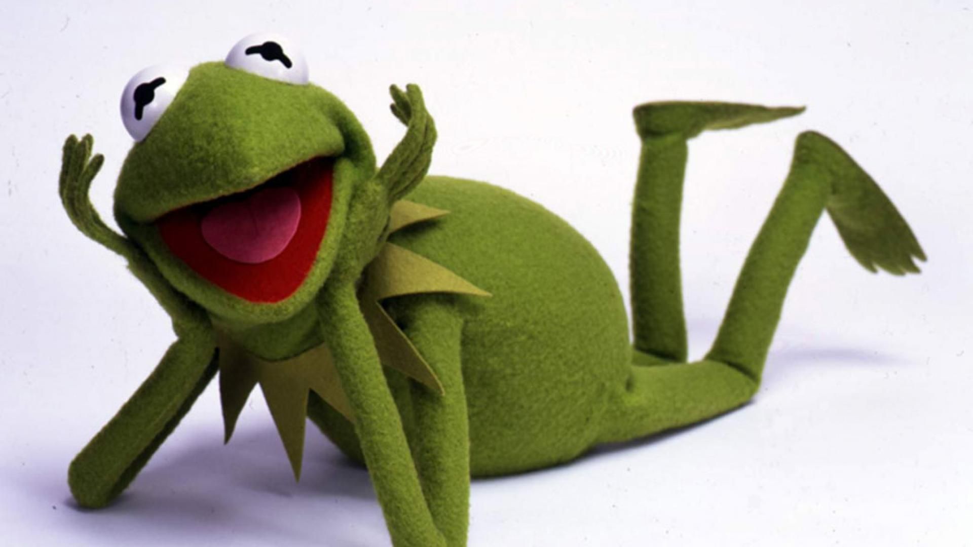 Peluche Kermit la Rana panchina, 5675x3911 4K Ultra HD, Monitor 4K
