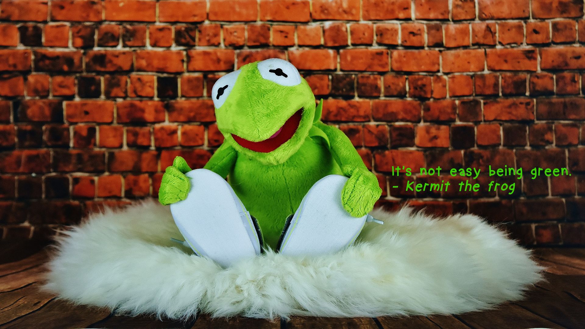 Kermit la Rana Supreme, New York, 857x1280 Full HD Verticale, Smartphone