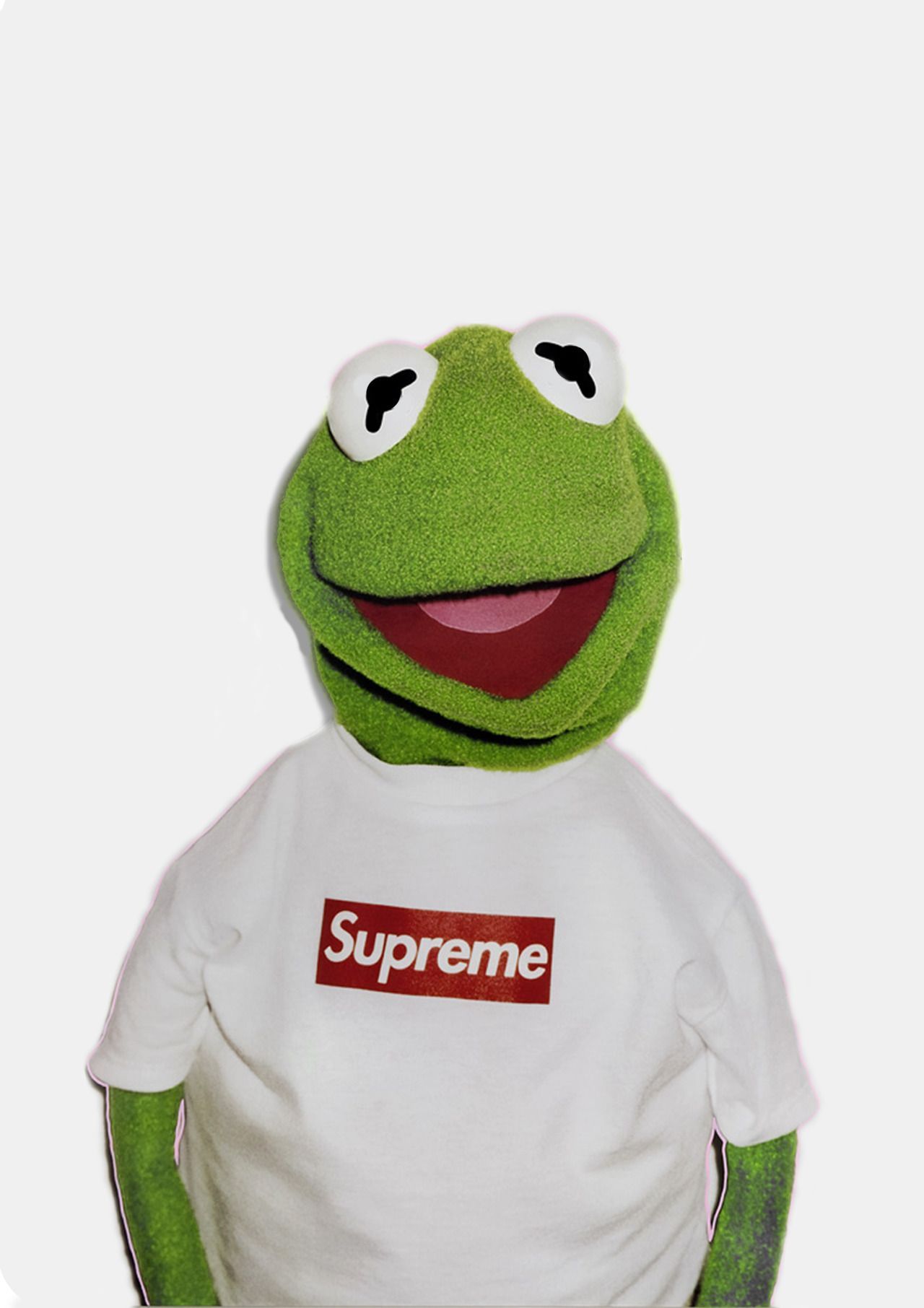 Kermit la Rana seduto, 1990x1287 Full HD+, Laptop