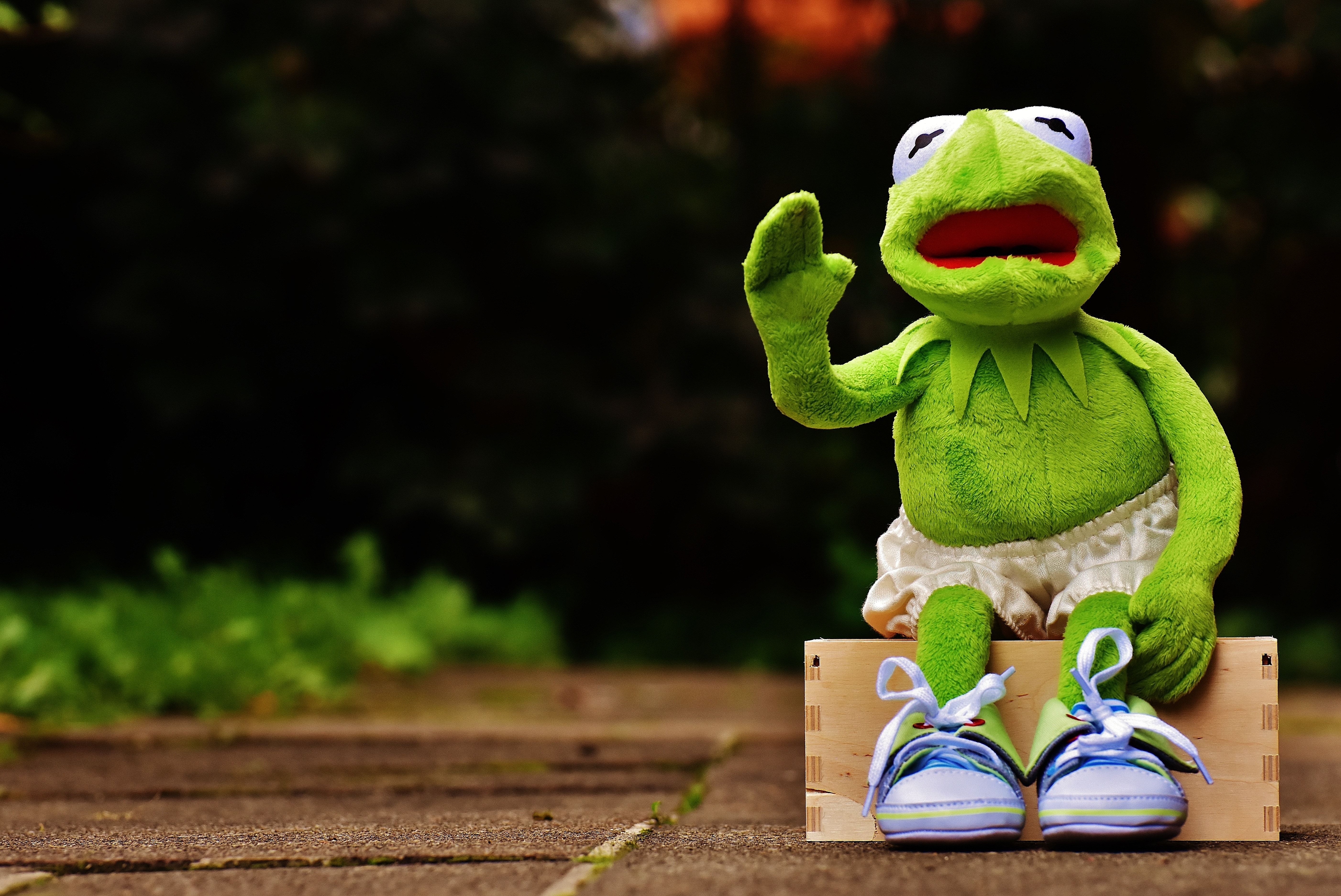 Kermit la Rana Muppet, 1000x917 HD, PC