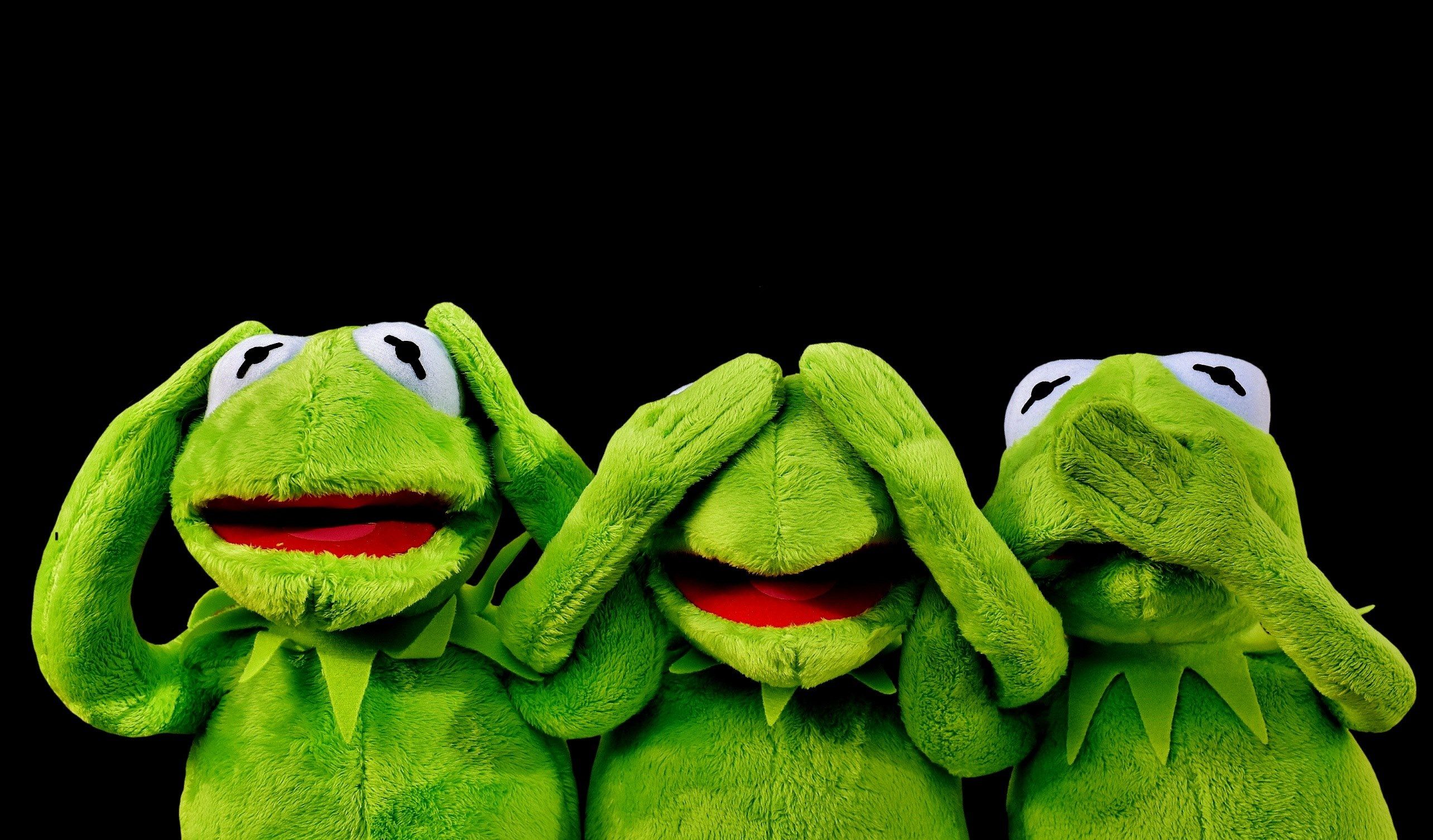 Kermit la Rana e Pantera Rosa peluche, 6016x4000 UHD, PC 4K