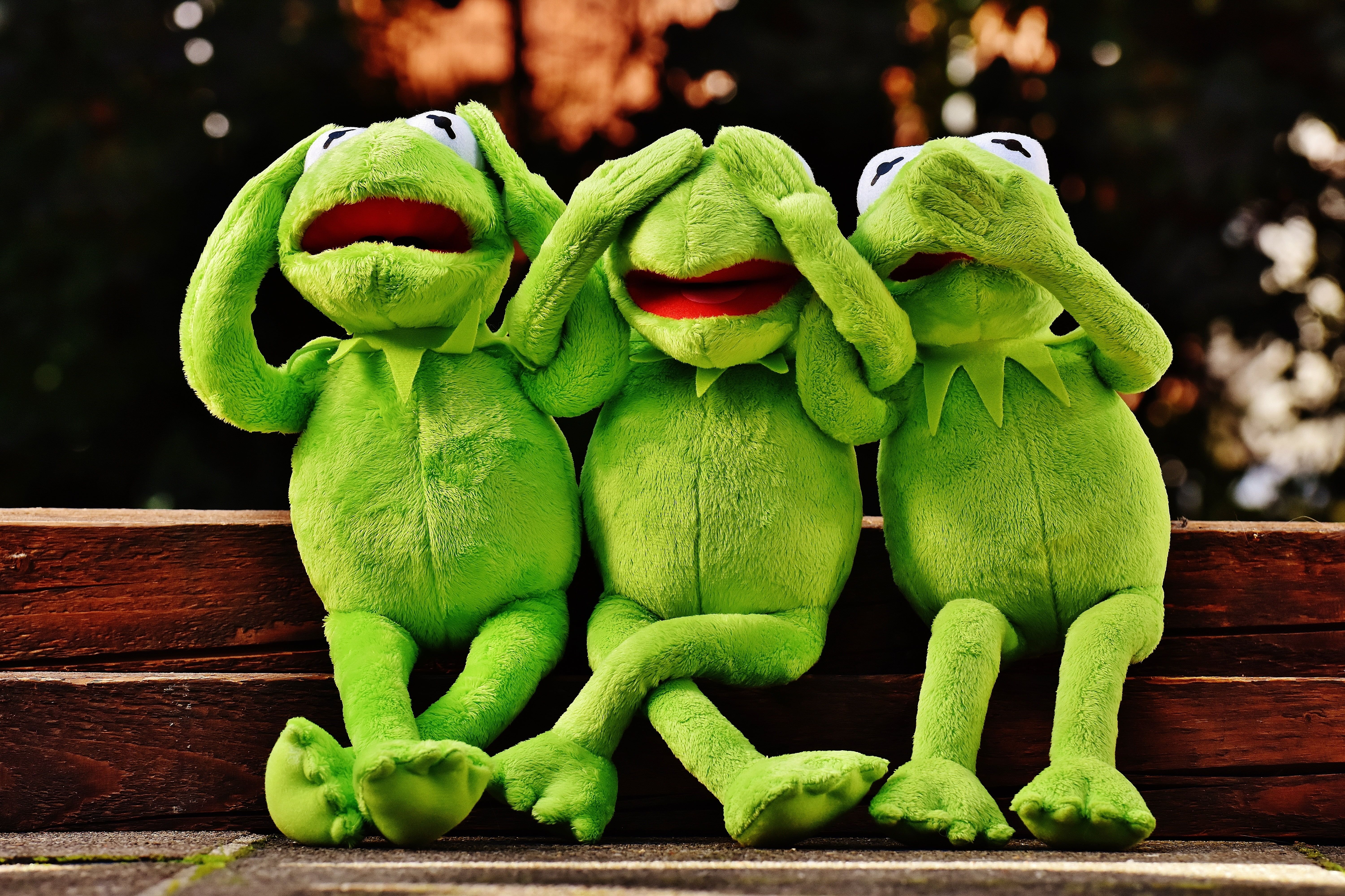 Kermit e Tsuyu Asui, 1011x790 HD, Laptop