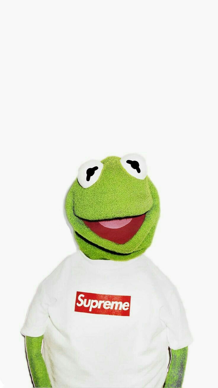 Kermit la Rana, 1920x1080 Full HD, Laptop