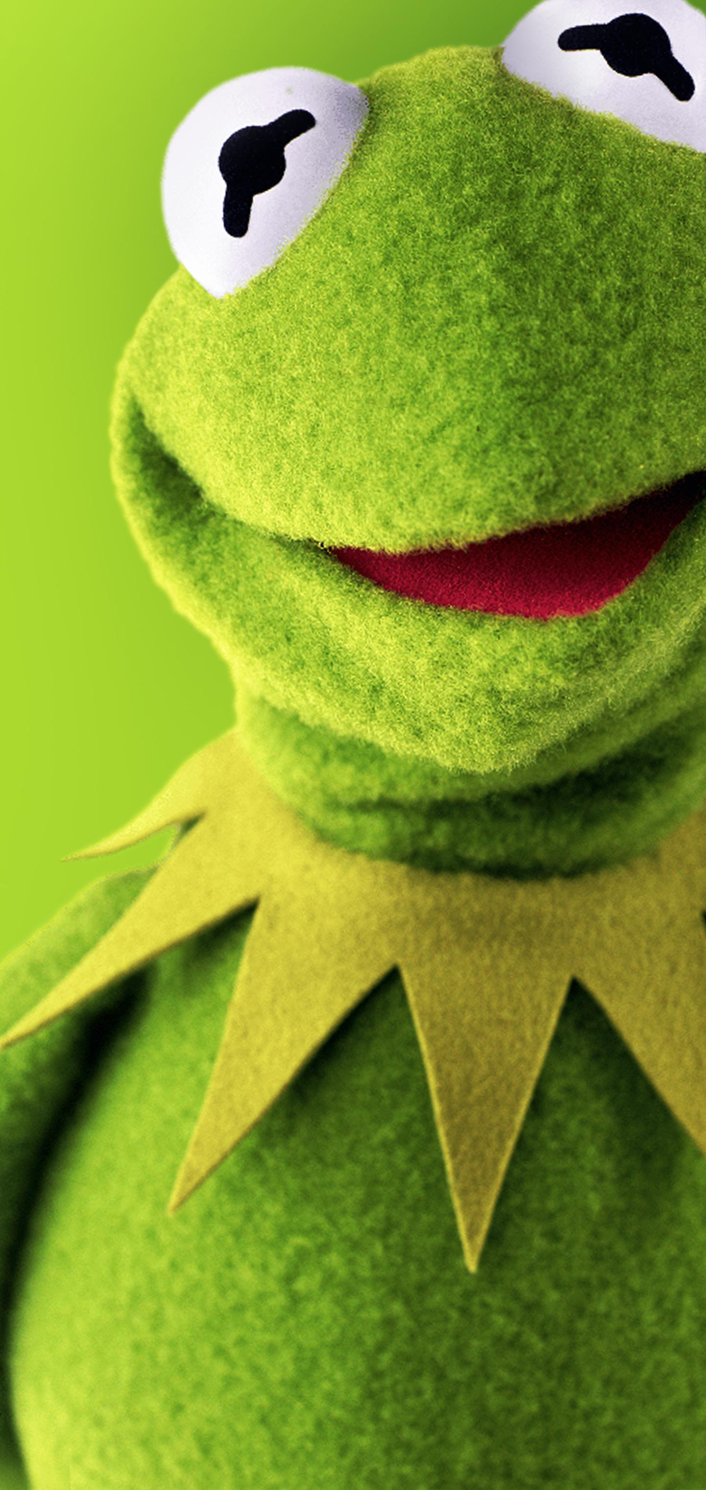 Kermit la Rana, 1440x3040 Verticale, Mobile
