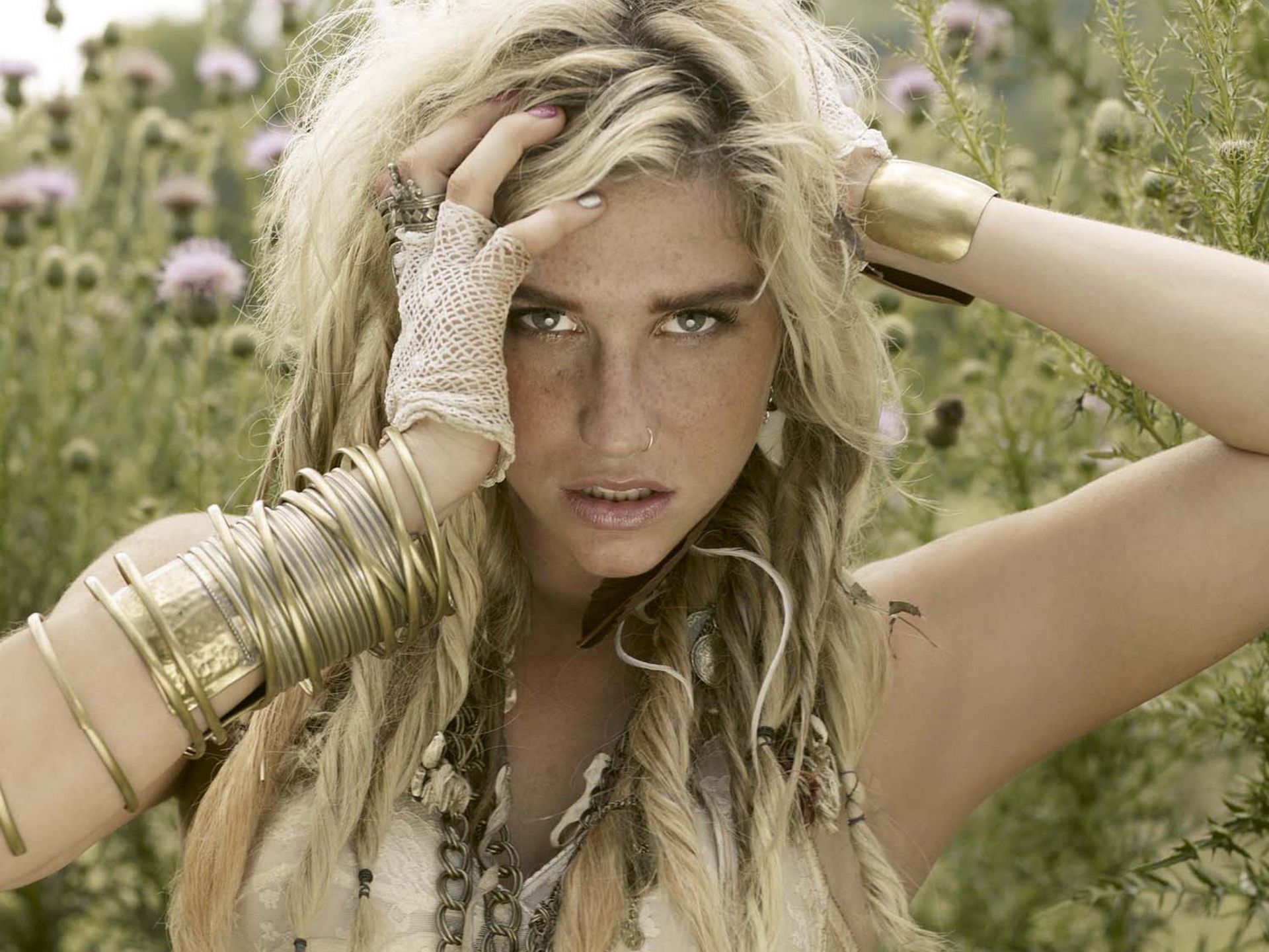 Kesha in campo di fiori, 1920x1440 Full HD+ WUXGA, Laptop