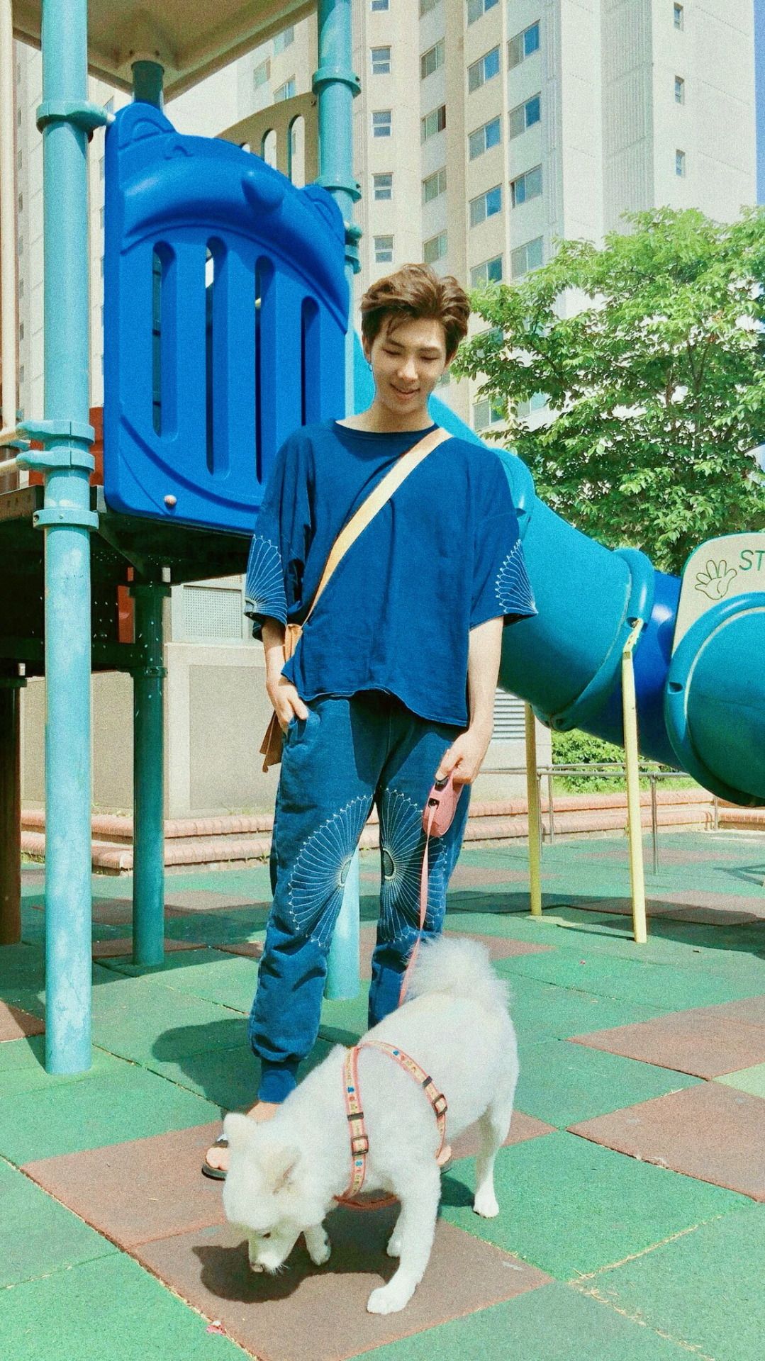 RM Kim Namjoon con cane, 1079x1920 Full HD Verticale, Smartphone