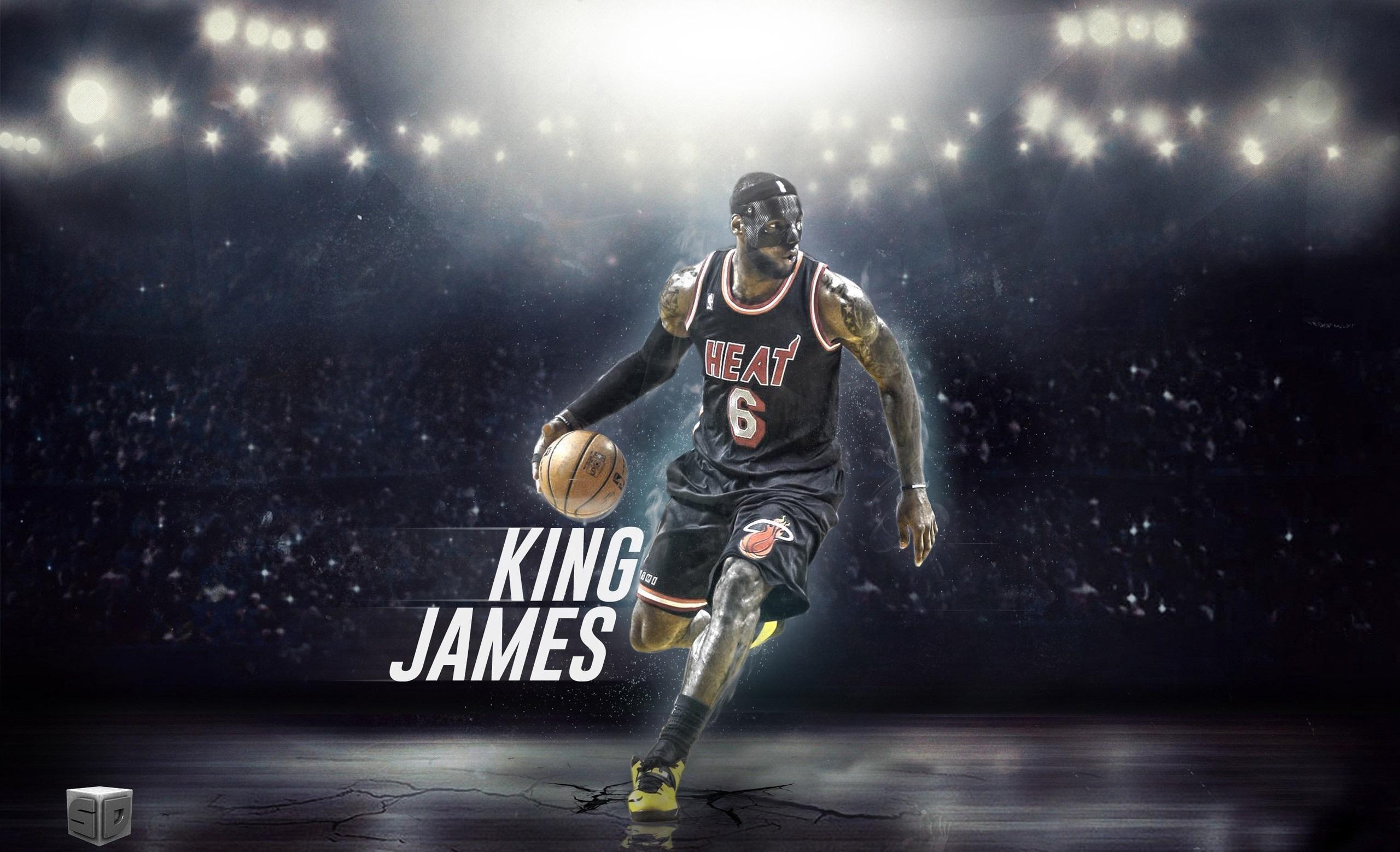 LeBron James Miami Heat, NBA, 2560x1558 2K QHD, PC