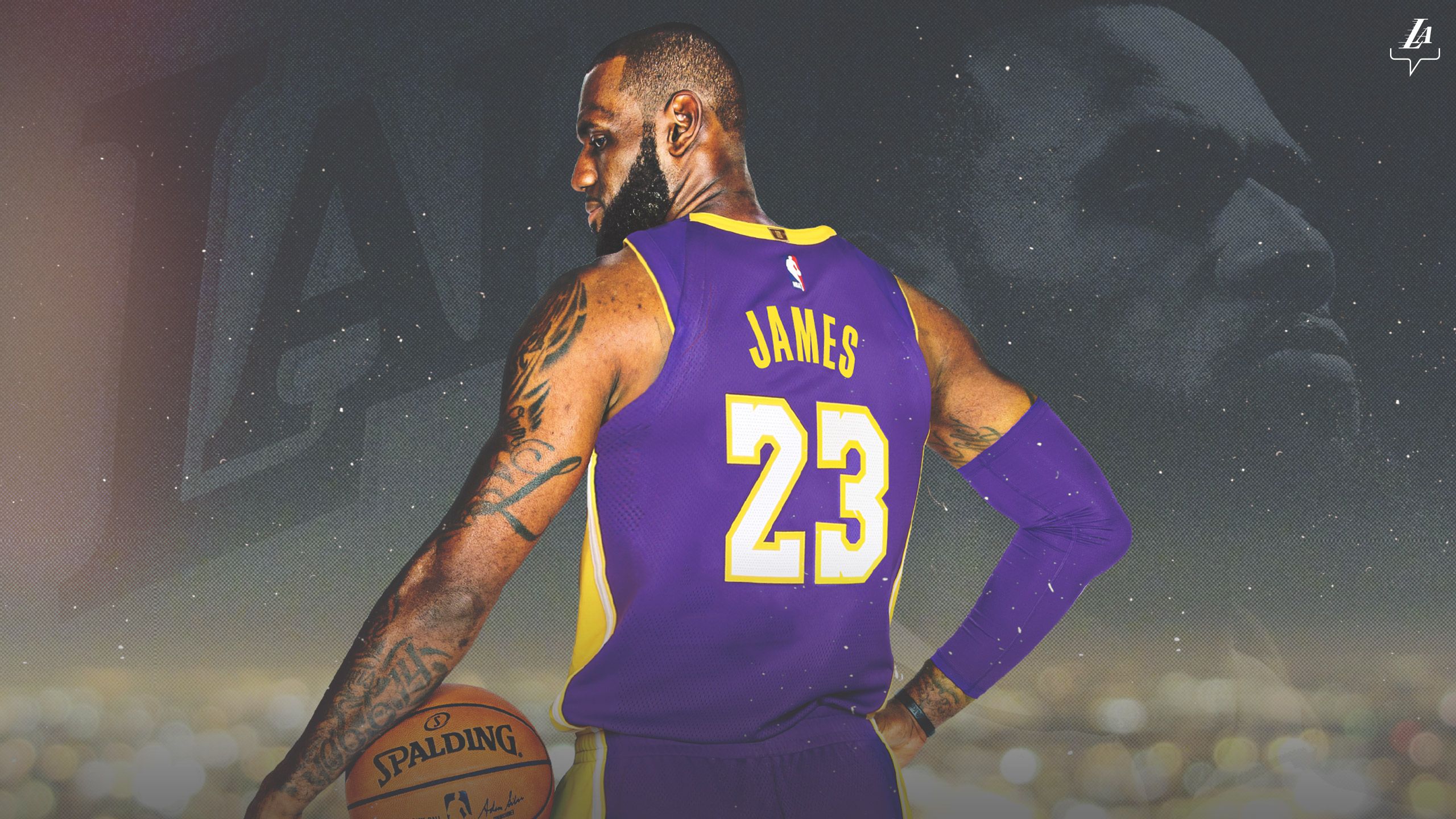 LeBron James maglia Lakers, NBA, 2560x1440 2K QHD, Monitor Gaming