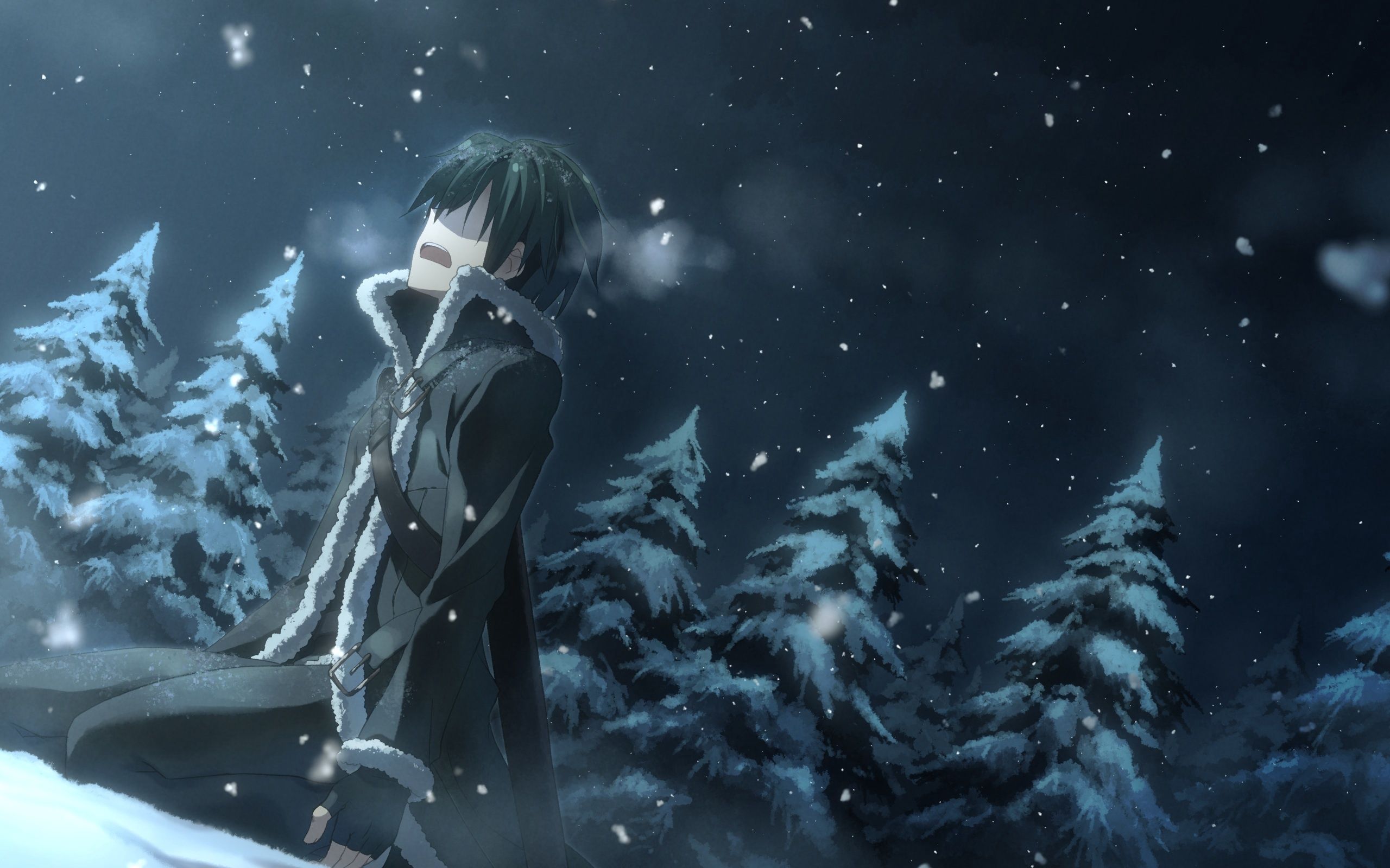 Kirito neve Sword Art Online, Kazuto Kirigaya, 2560x1600 2K+, PC