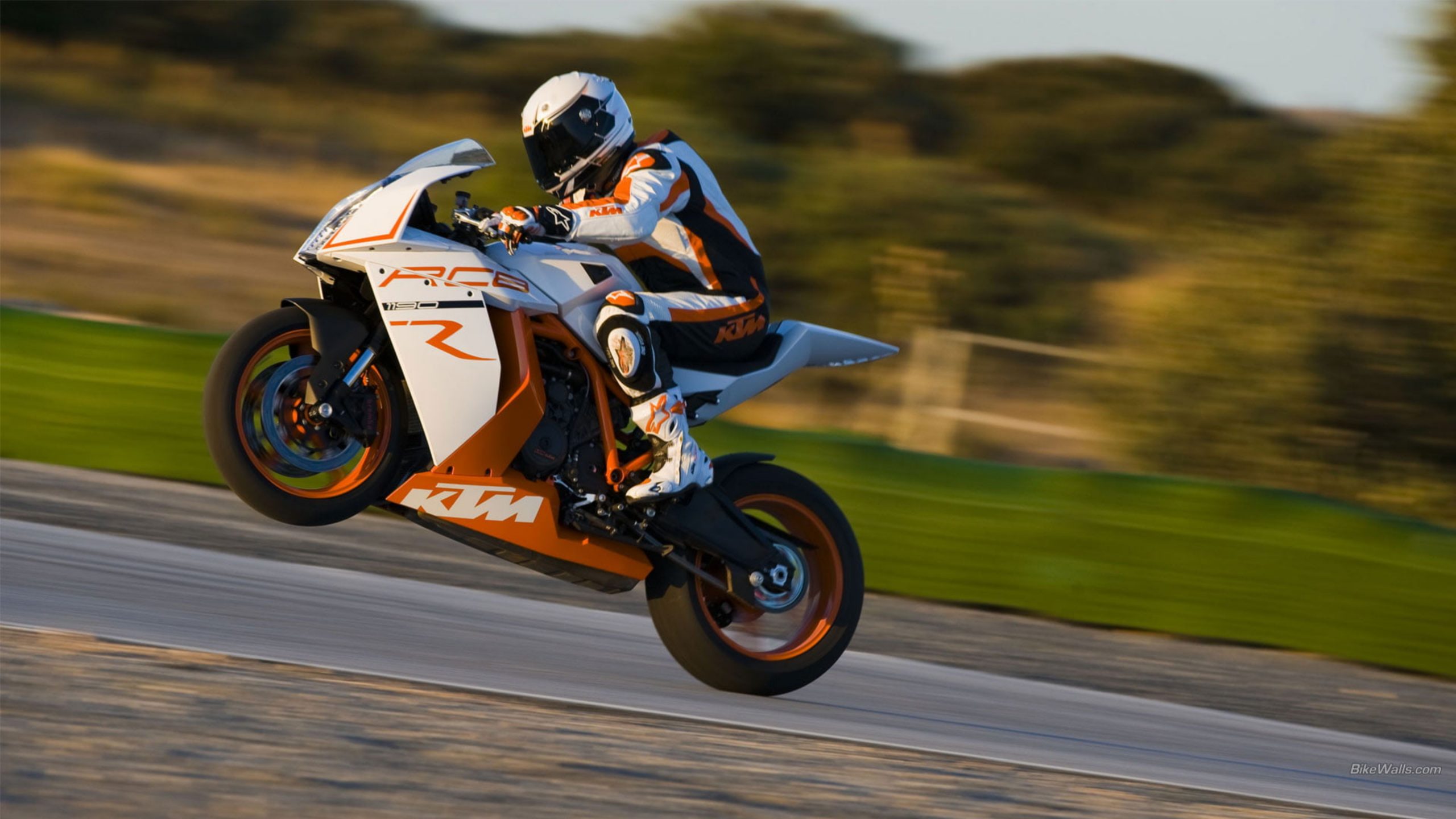 Moto KTM impennata su strada, 2560x1440 QHD, Laptop