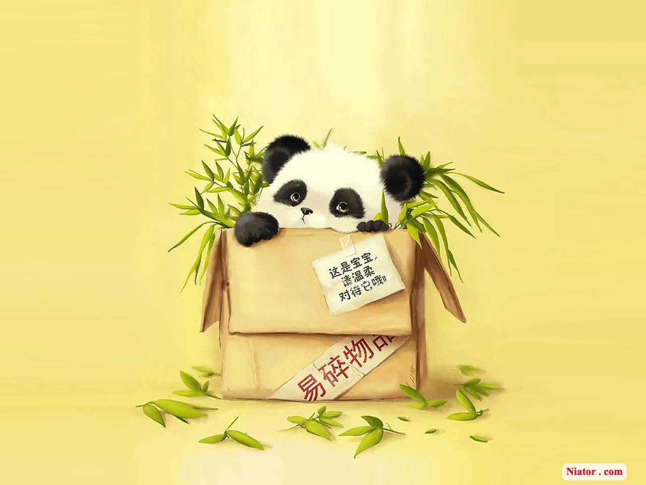 Panda in scatola con bambù, 1280x960 720p, MacBook Air