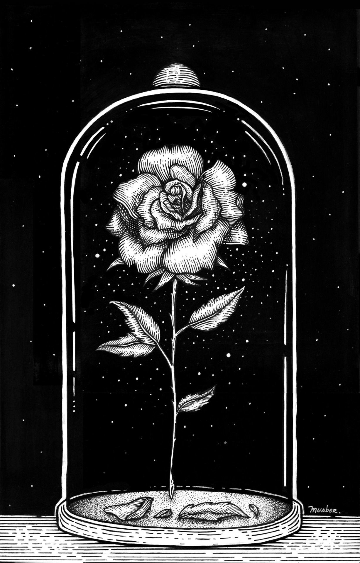 Rosa incantata sotto campana, 1227x1920 Full HD Verticale, iPhone