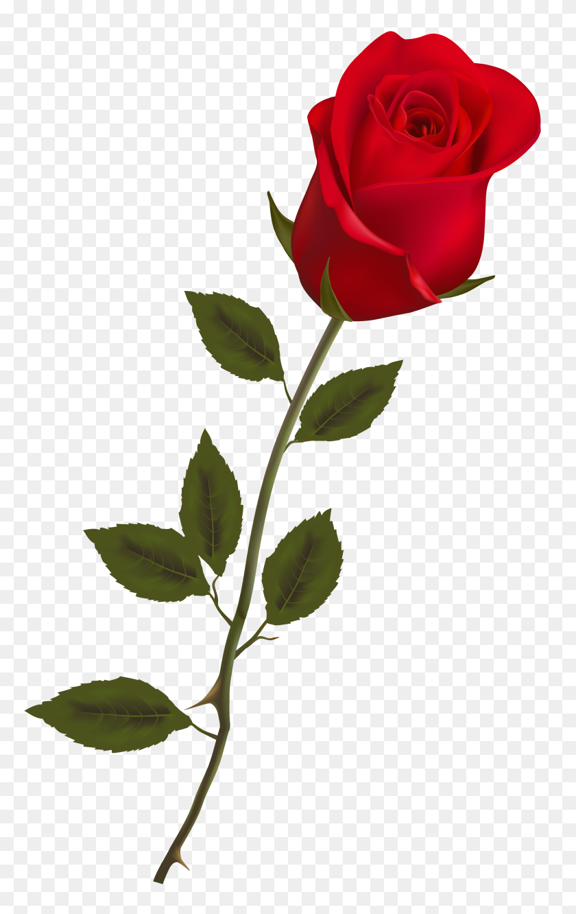 Bestia con rosa incantata, 1920x1080 Full HD, Desktop