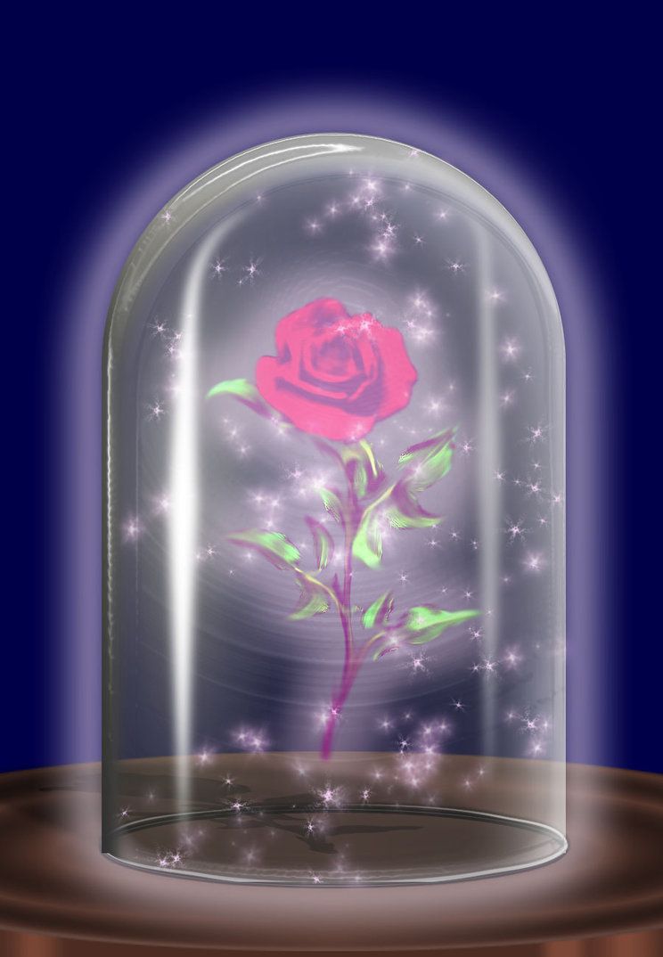 Rosa incantata sotto teca, 744x1074 Verticale, Telefono