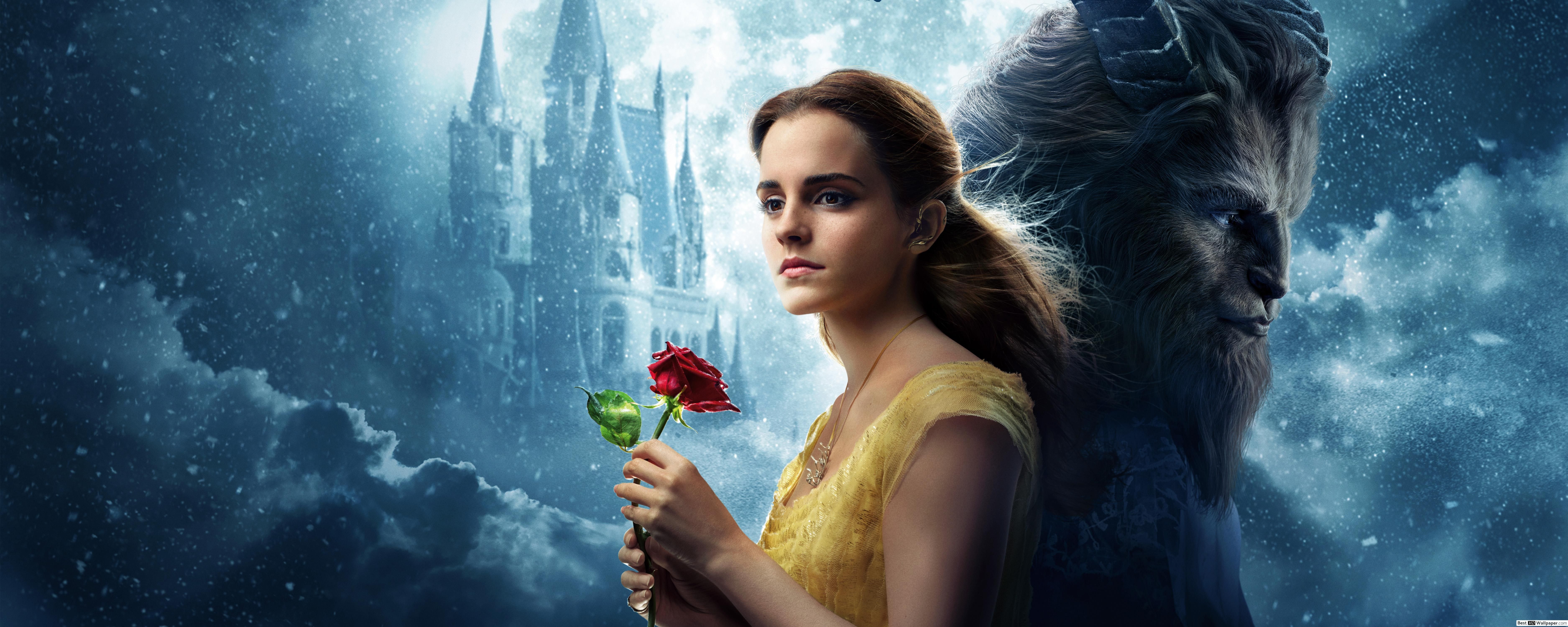 Rose rosse su sfondo scuro, 5120x2880 Ultra HD, 4K TV