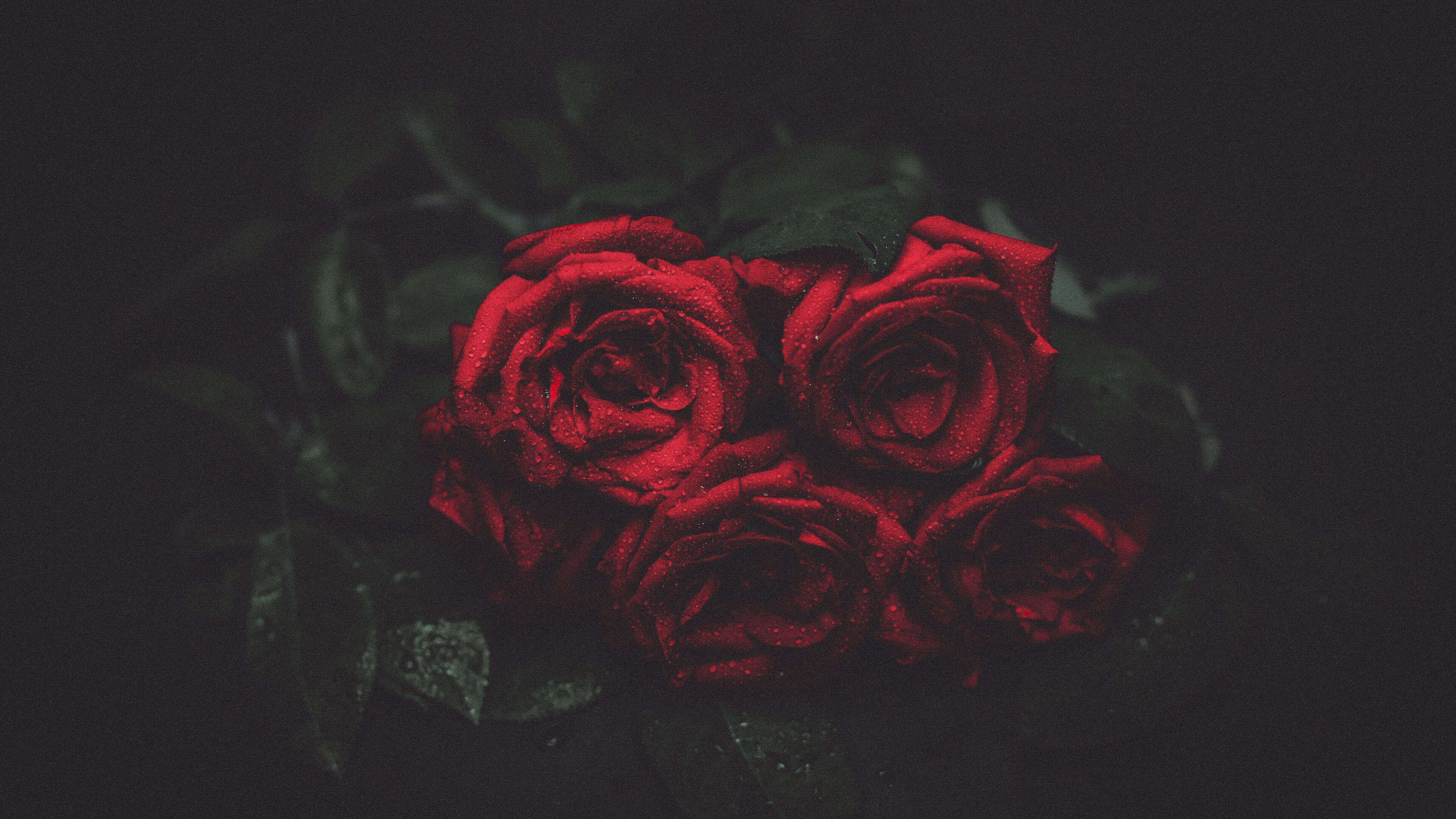 Rosa vetrata Bella e Bestia, 920x1385 Verticale, Telefono