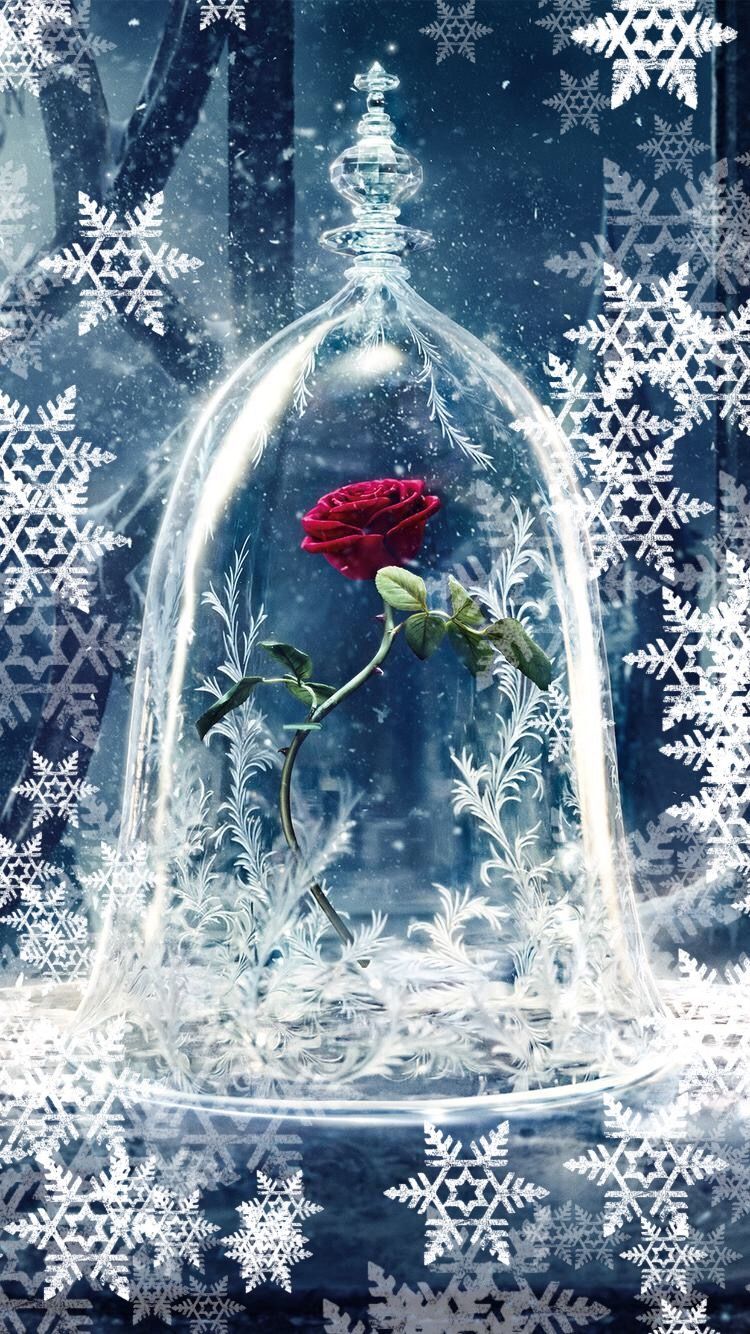 Rosa incantata sotto campana di vetro, 750x1334 Verticale, iPhone