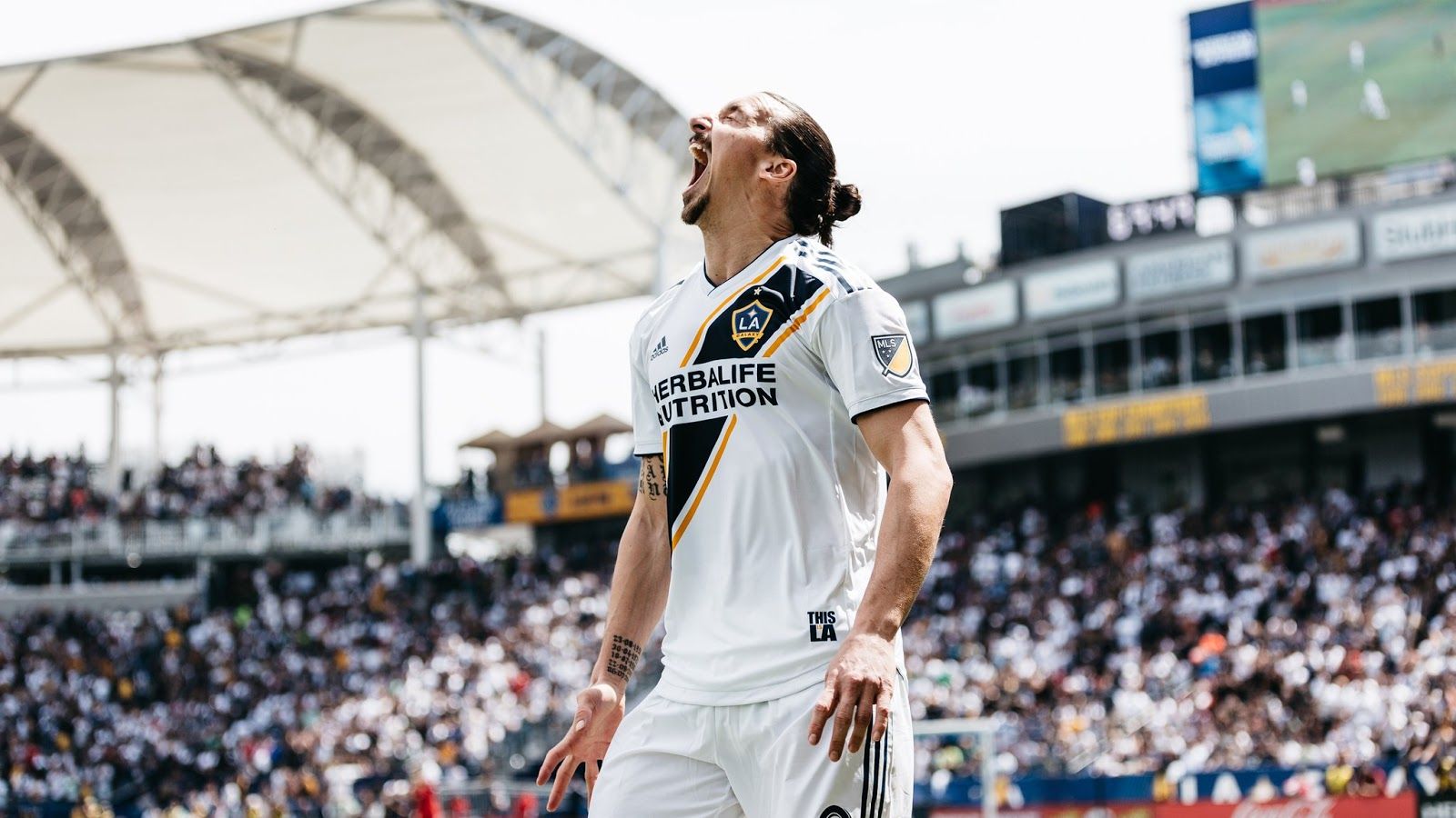 Zlatan Ibrahimovic LA Galaxy esulta, 1600x900 900p, Laptop