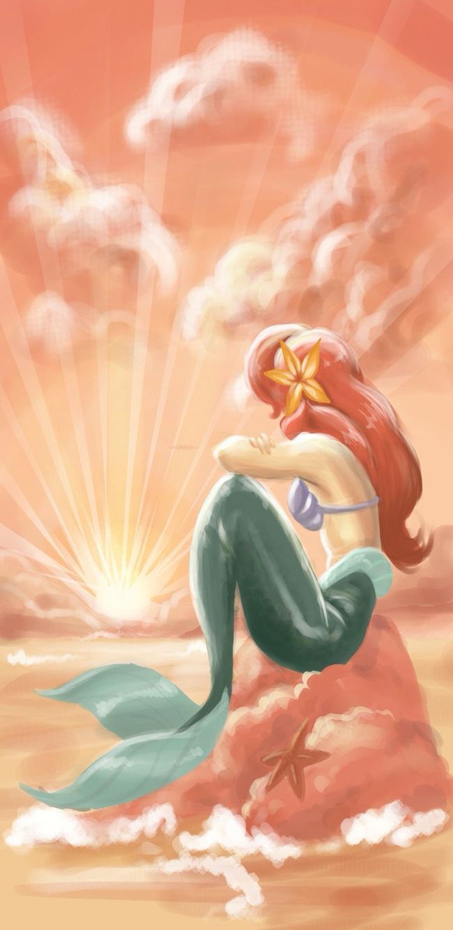 Ariel sirena sulla roccia, 650x1334 Verticale, iPhone