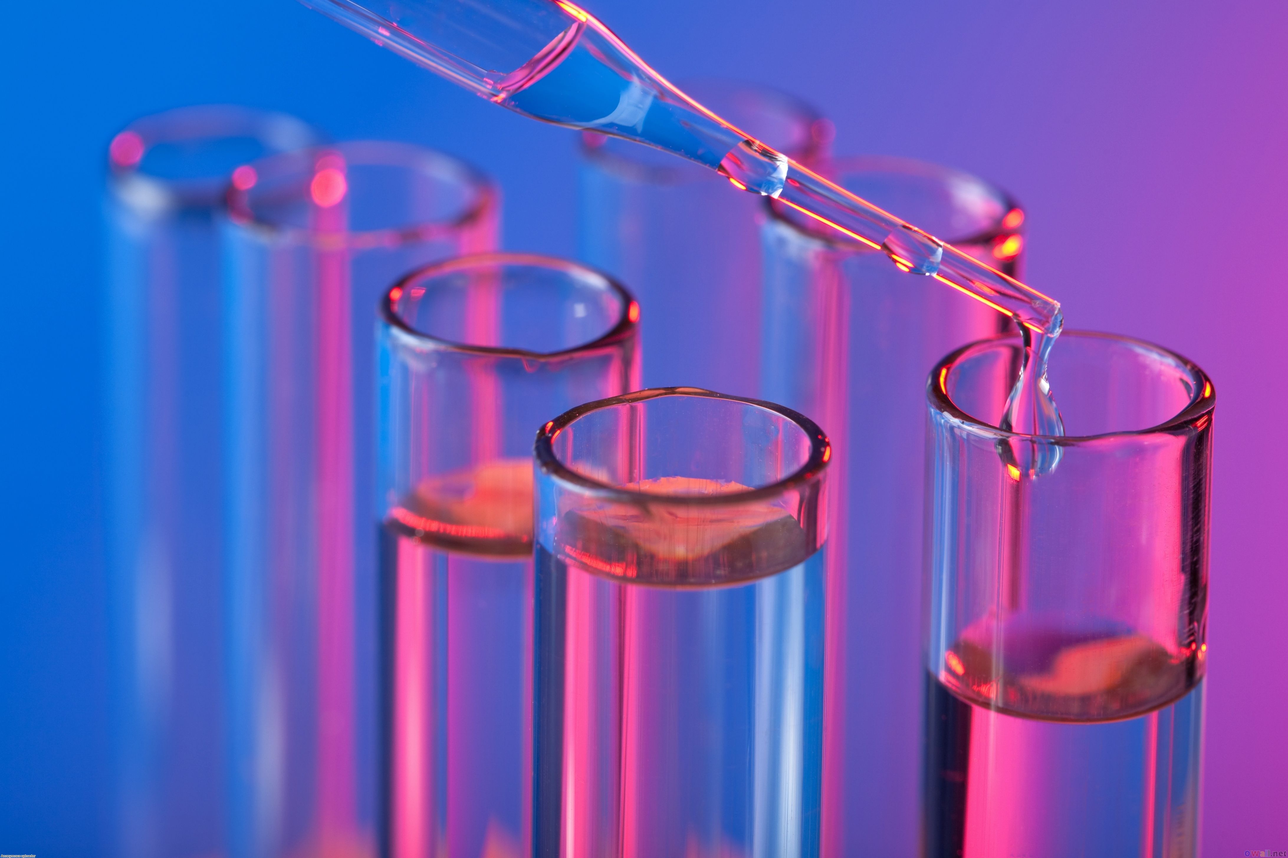Provette laboratorio pipetta rosa blu, 4368x2912 4K, Desktop 4K
