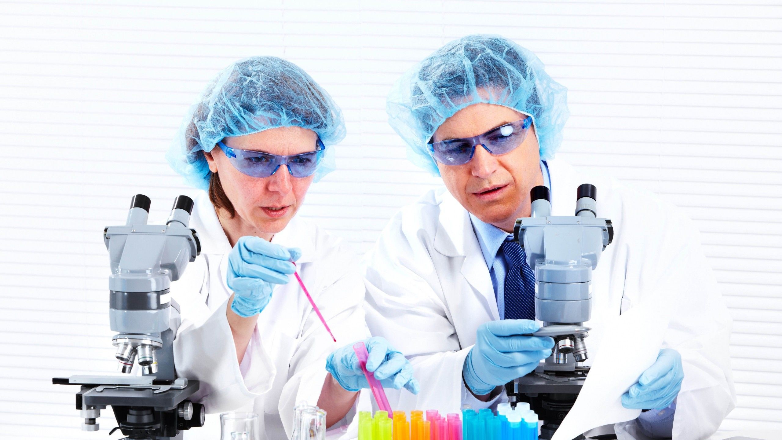 Scienziati con microscopi in laboratorio, 2560x1440 QHD, Laptop