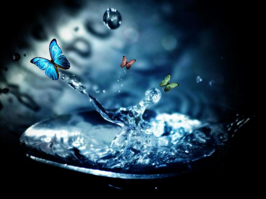 Farfalle blu su schizzo d'acqua, 1024x768 HD, iMac