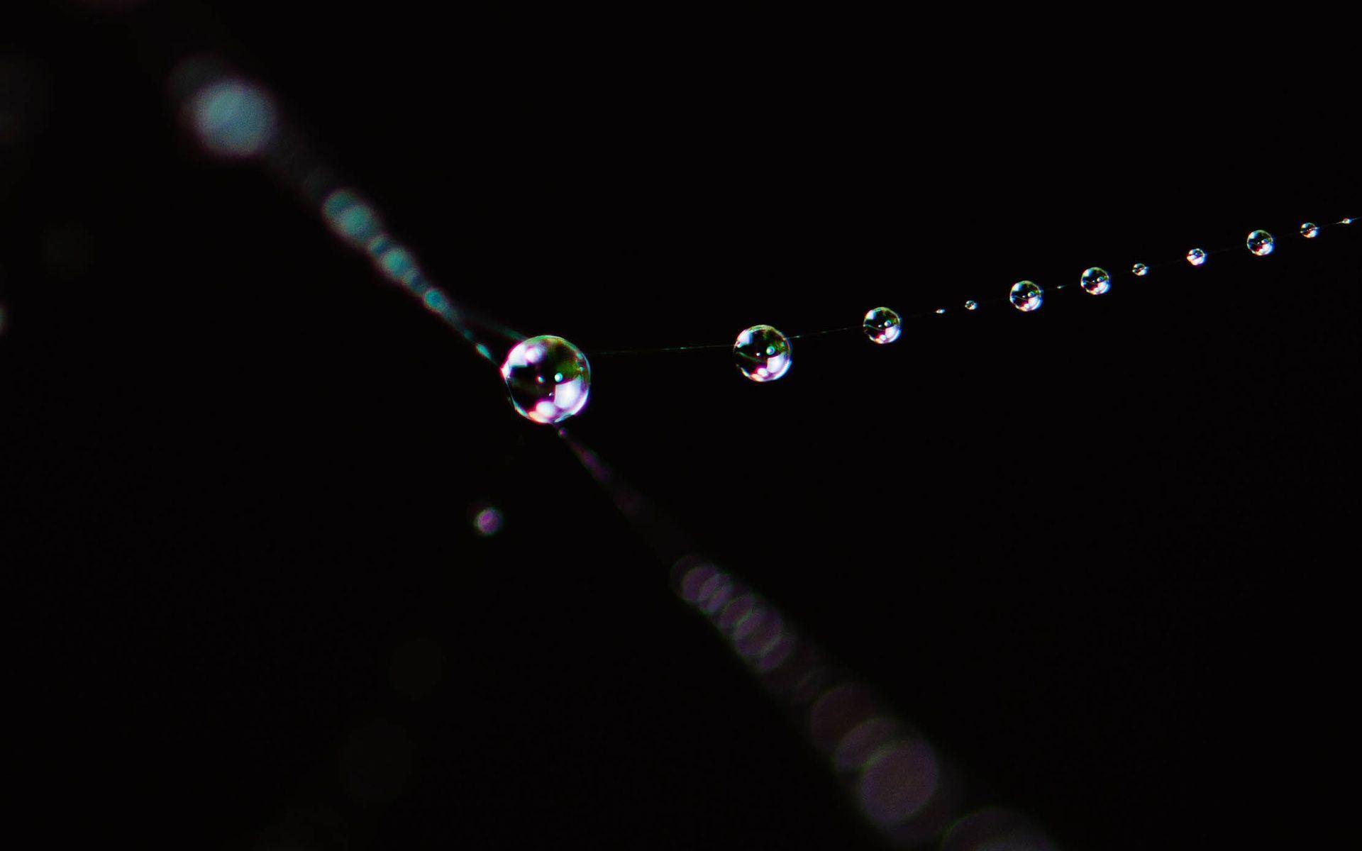 Gocce d'acqua su filo, nero, 1920x1200 Full HD+ WUXGA, Desktop