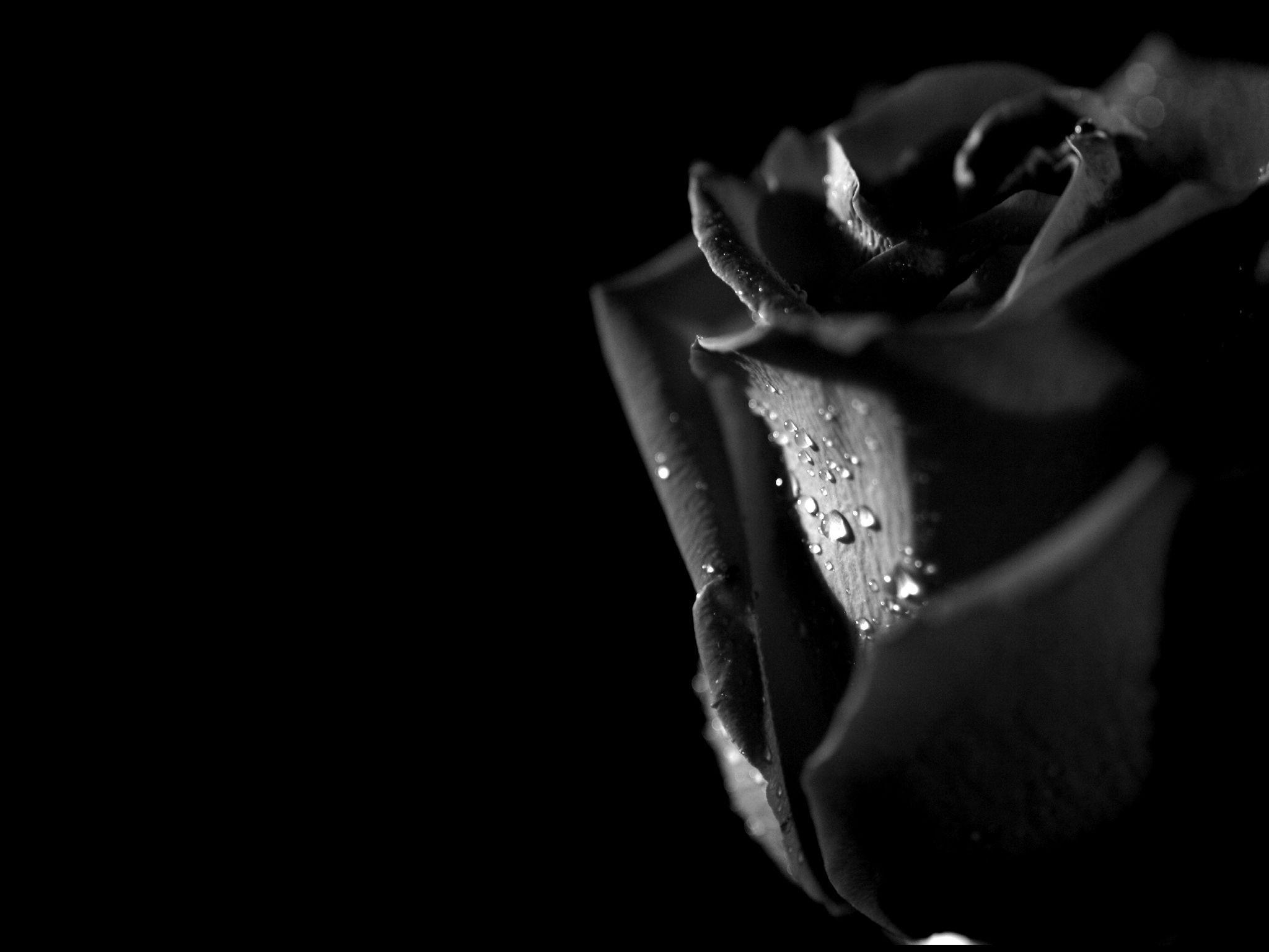 Occhio chiuso con lacrima, bianco e nero, 1280x1024 720p, Laptop