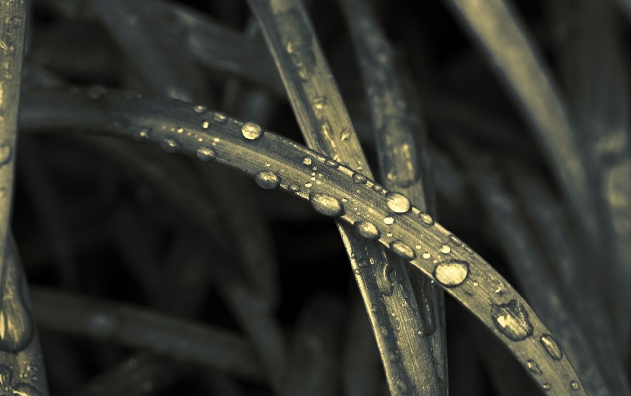 Gocce d'acqua su superficie blu, 2560x1600 WQXGA, MacBook Pro
