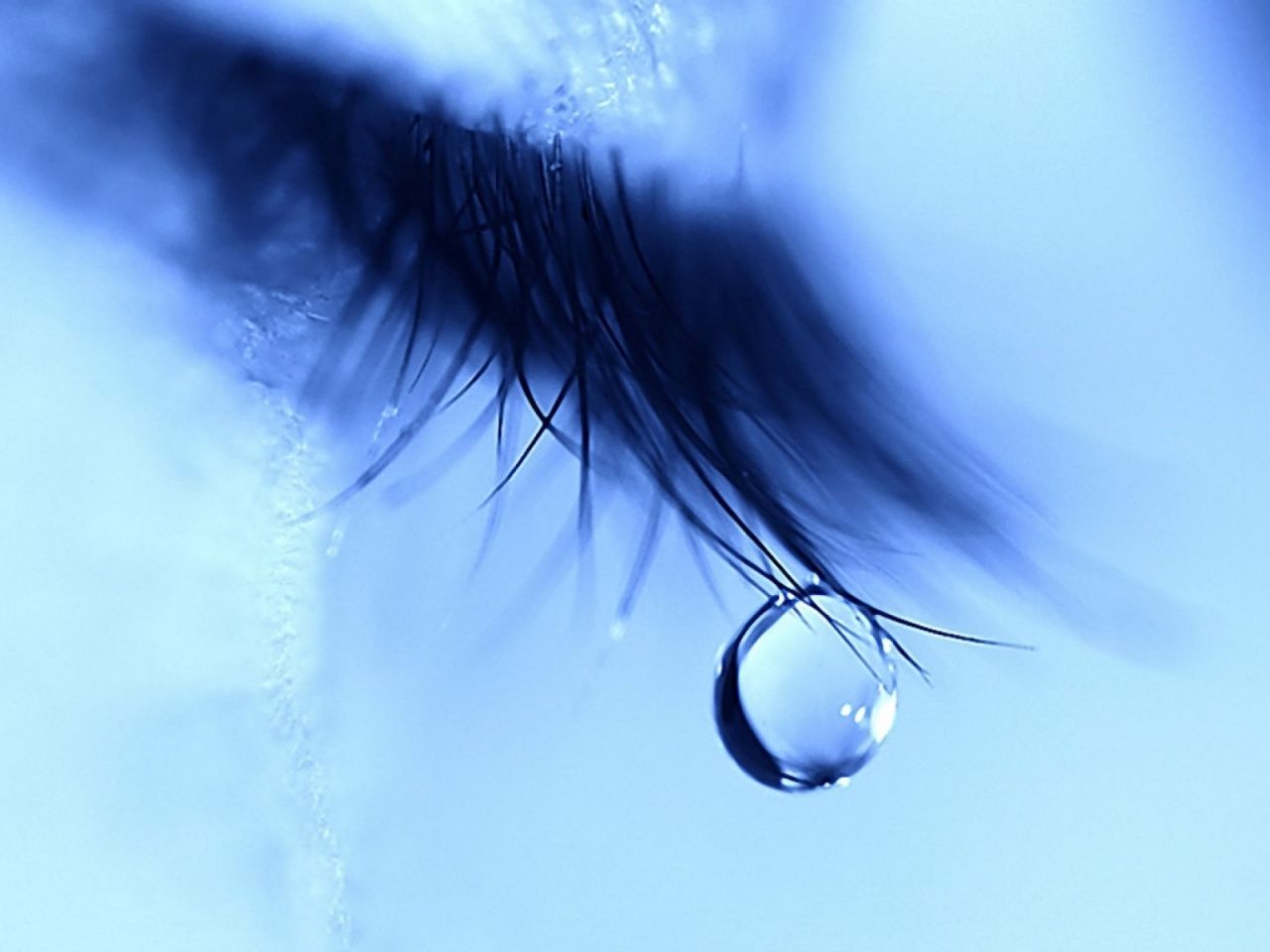 Occhio con lacrima blu, 1280x960 720p, PC