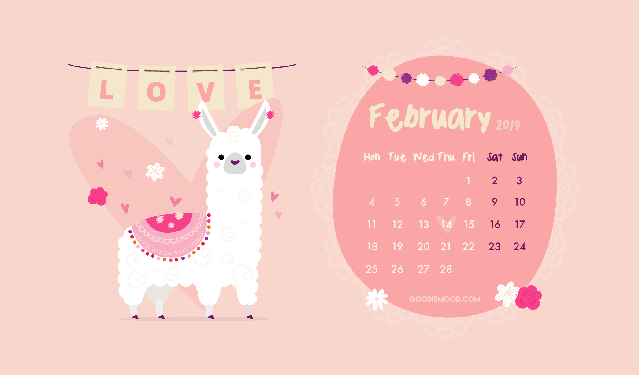 Lama rosa con calendario febbraio, 2089x1225 Hi-Res, Desktop