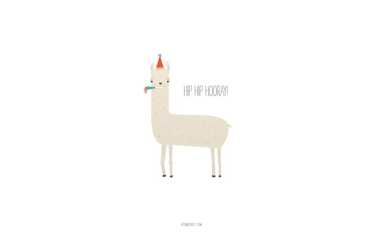 Lama bianco con sciarpa, 1024x768 HD, Desktop