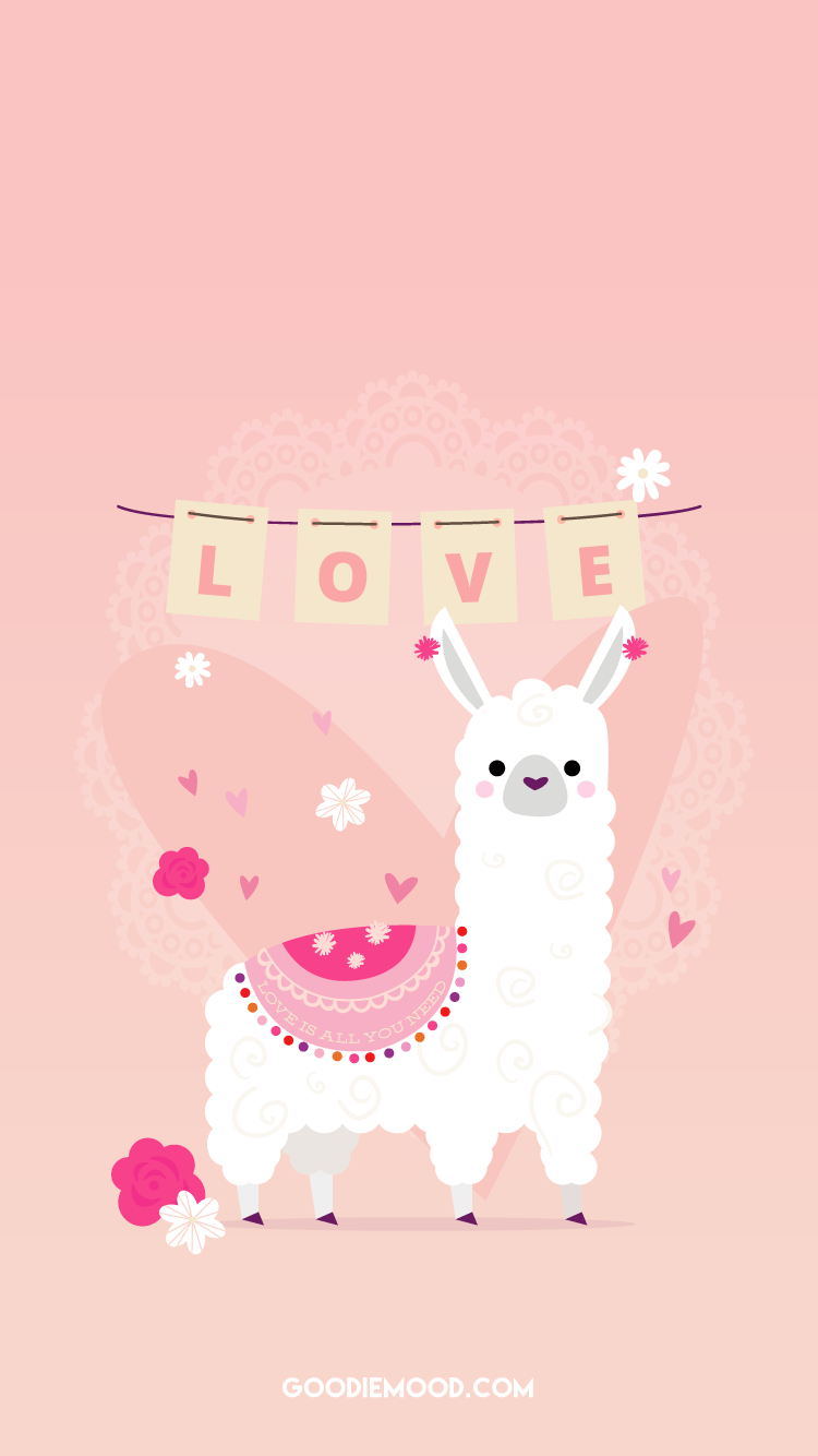 Alpaca bianco primo piano, 2048x1152 alta risoluzione, Desktop