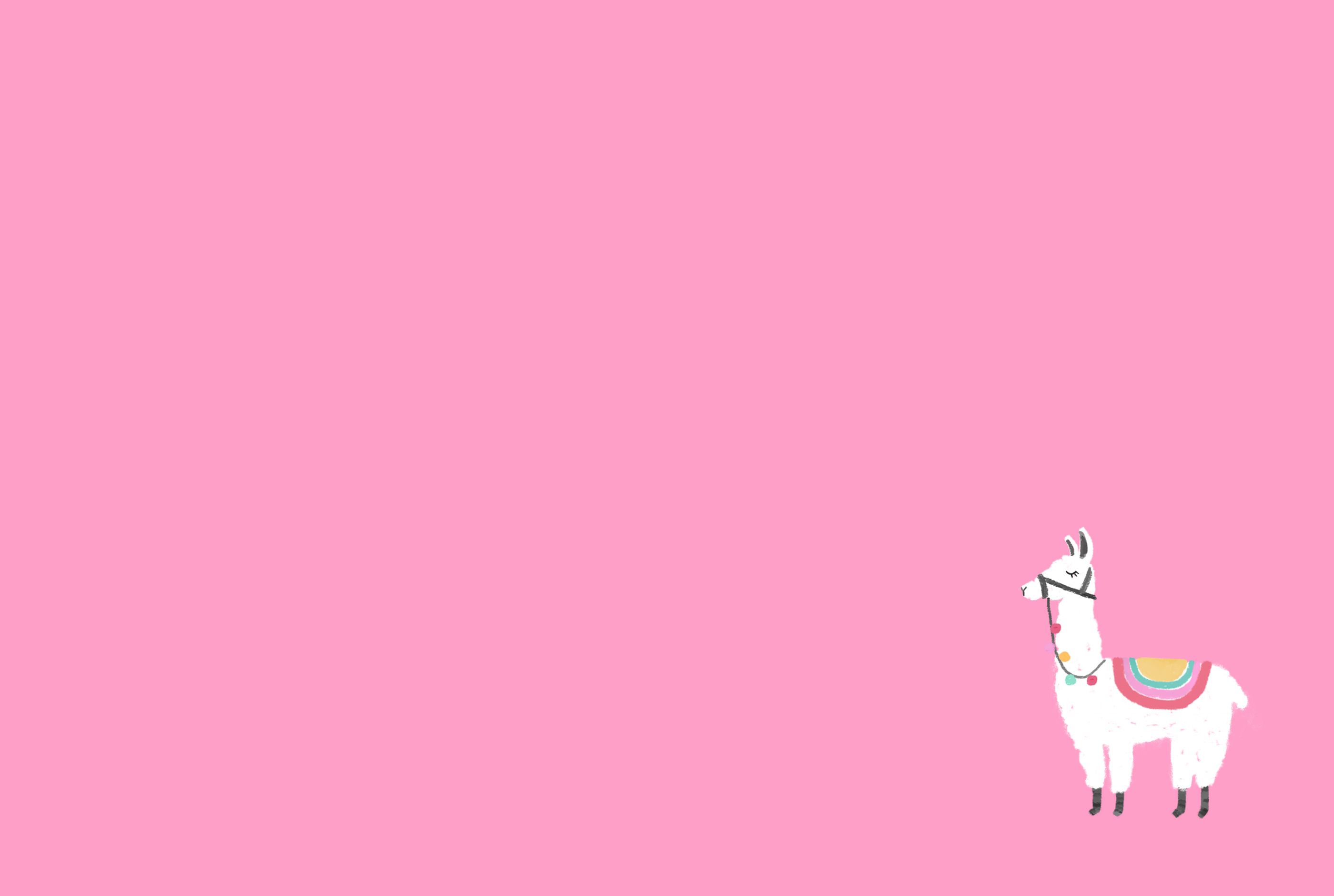 Gatto nero minimalista giallo, 2880x1800 2K+, Laptop