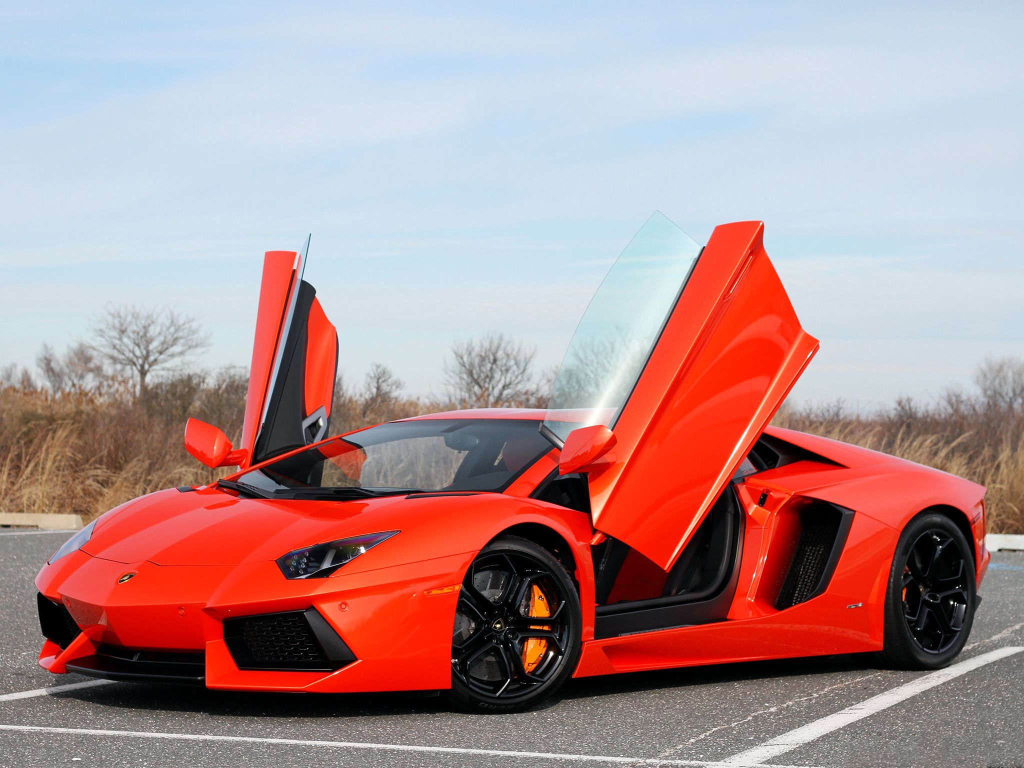 Lamborghini Aventador verde garage, 1242x2688 Full HD Verticale, Galaxy S