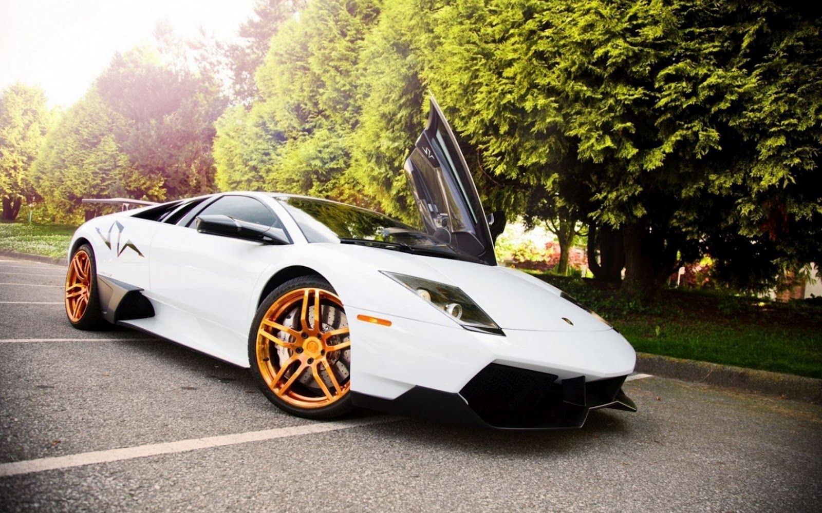 Lamborghini bianca con cerchi oro, 1600x1000 HD, ROG Asus Laptop