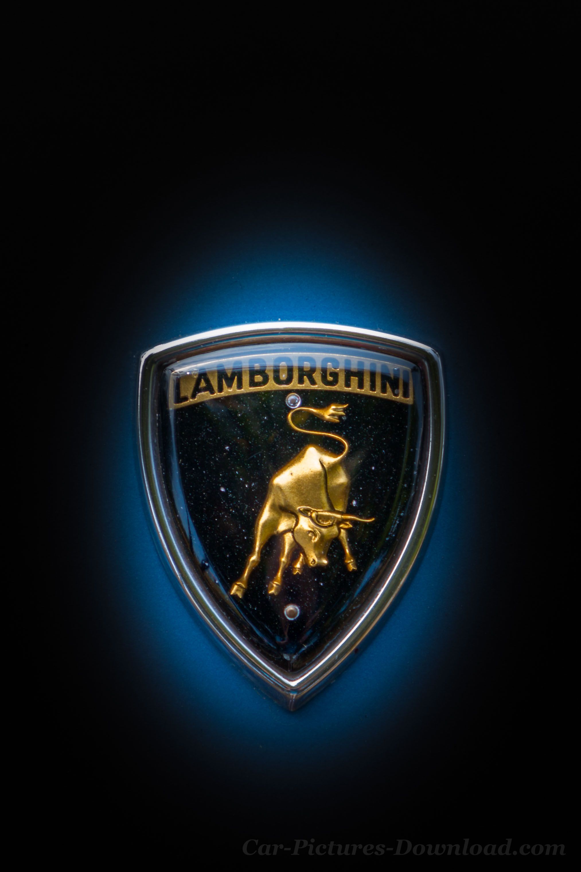 Logo Lamborghini toro sfondo nero, 2026x3039 Verticale, Telefono