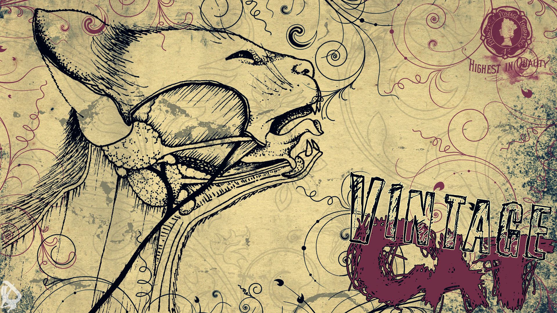 Illustrazione vintage gatto disegno, 1920x1080 1080p, Laptop