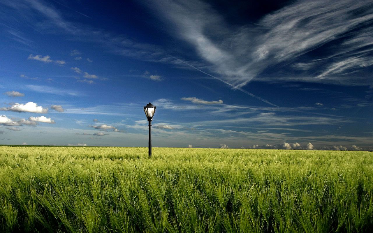 Lampione in campo di grano, 1280x800 720p, Ultrabook